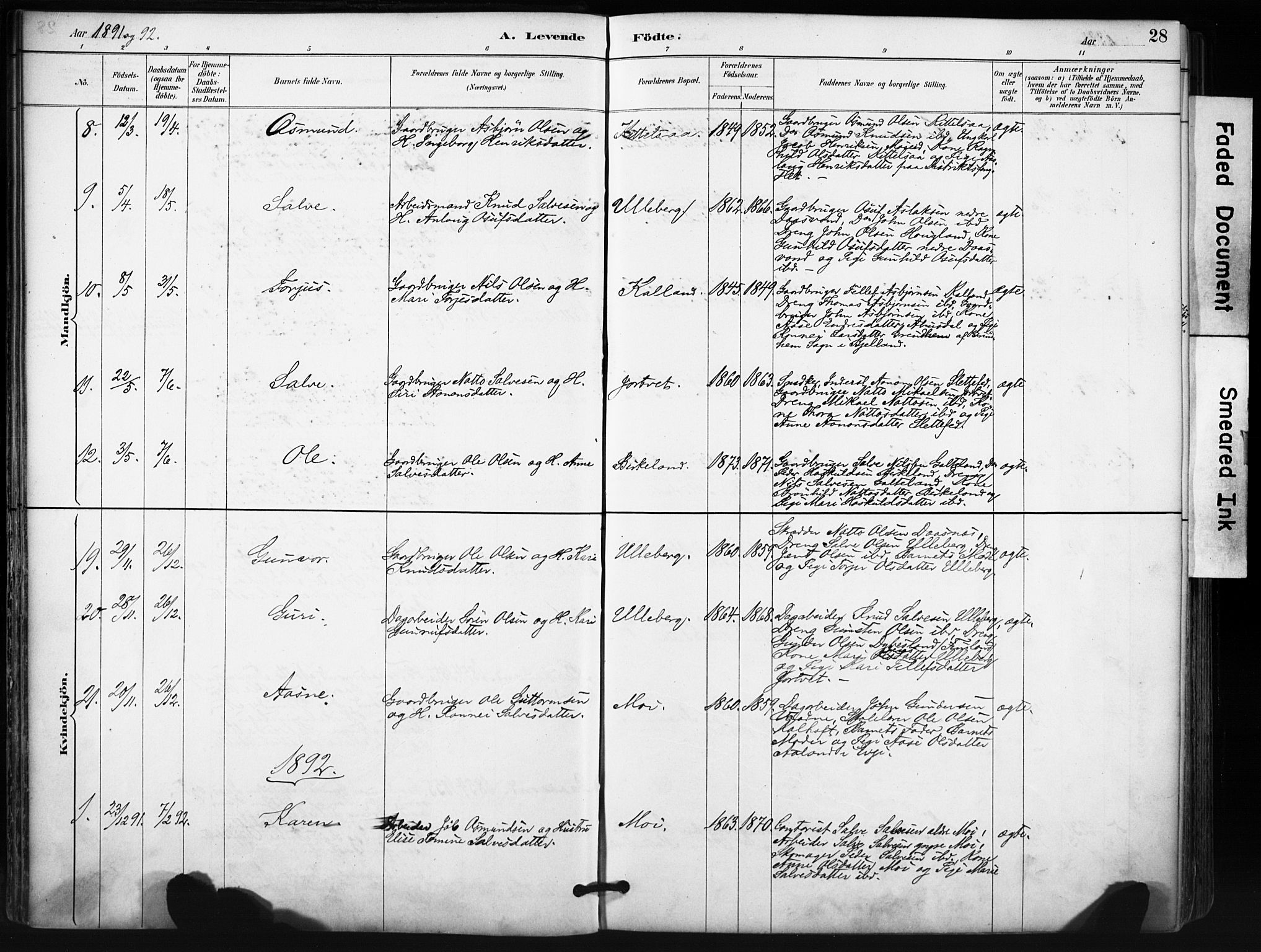 Evje sokneprestkontor, AV/SAK-1111-0008/F/Fa/Fab/L0003: Parish register (official) no. A 3, 1884-1909, p. 28