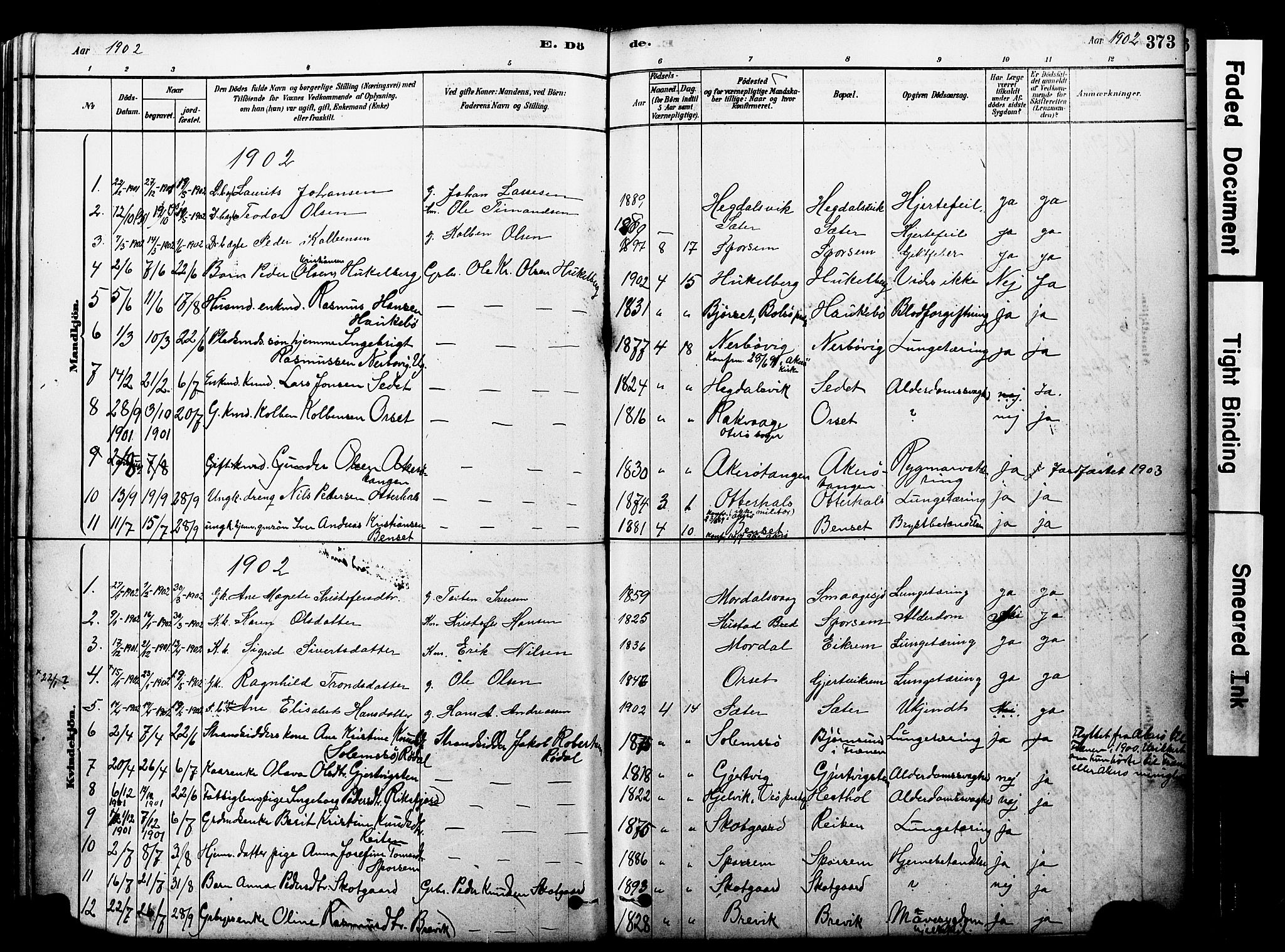 Ministerialprotokoller, klokkerbøker og fødselsregistre - Møre og Romsdal, SAT/A-1454/560/L0721: Parish register (official) no. 560A05, 1878-1917, p. 373