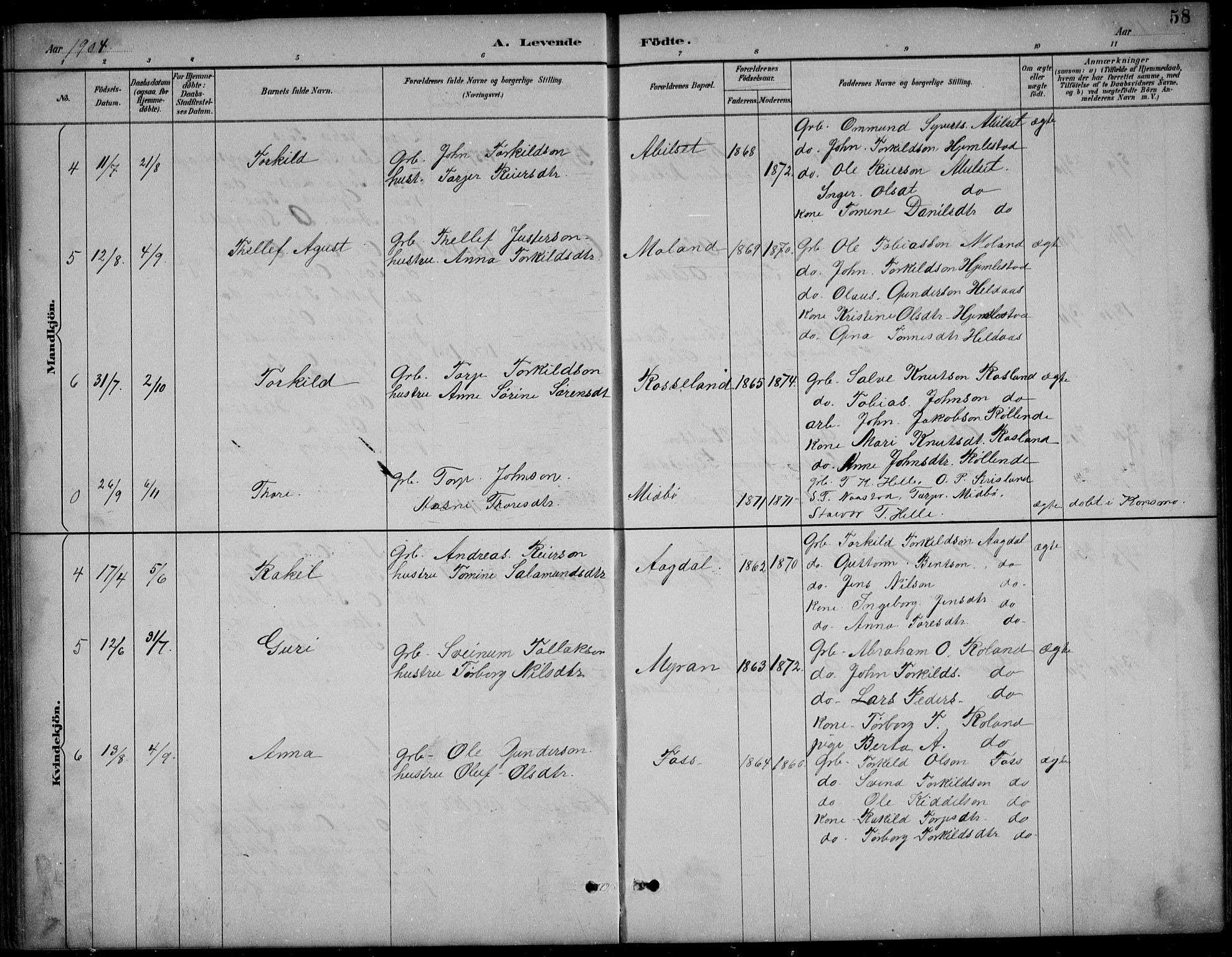 Bjelland sokneprestkontor, AV/SAK-1111-0005/F/Fb/Fba/L0005: Parish register (copy) no. B 5, 1887-1923, p. 58