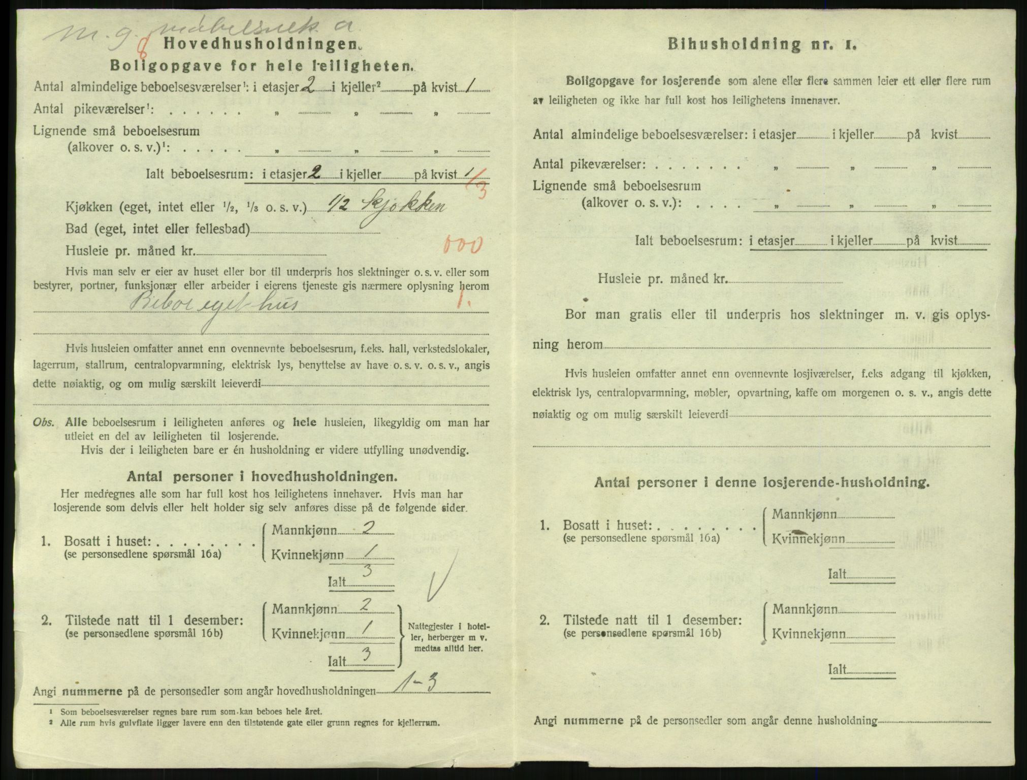 SAKO, 1920 census for Larvik, 1920, p. 5339