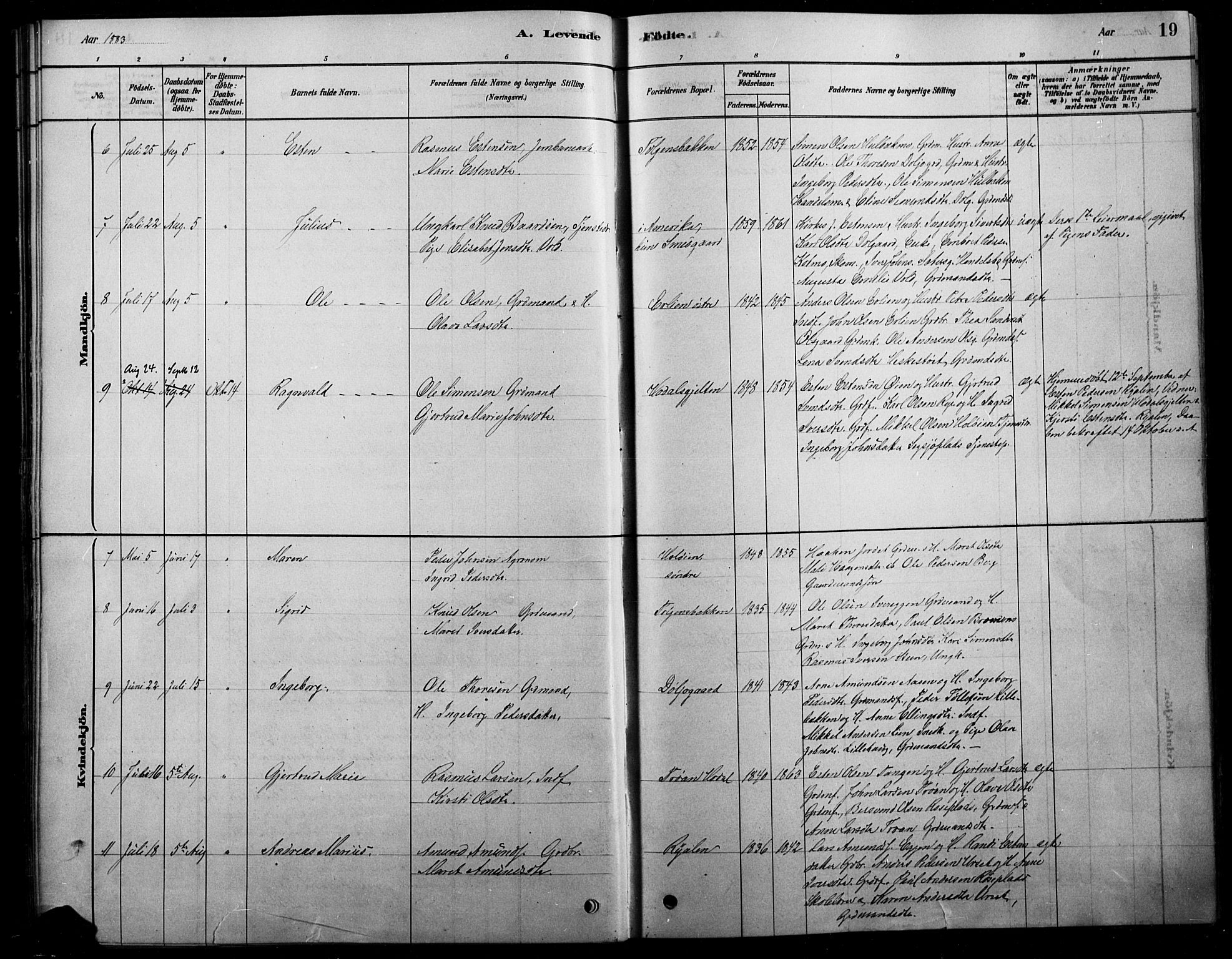 Tolga prestekontor, AV/SAH-PREST-062/L/L0007: Parish register (copy) no. 7, 1878-1919, p. 19