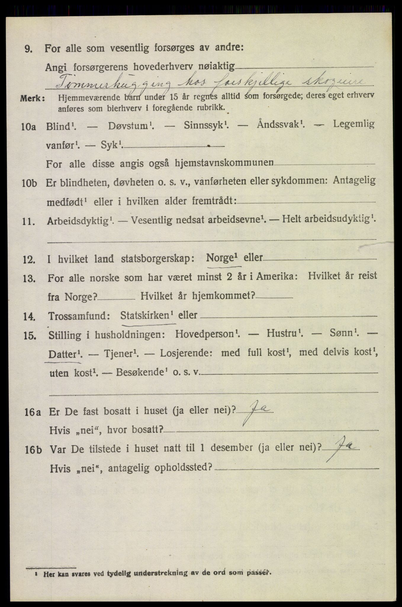 SAH, 1920 census for Trysil, 1920, p. 14656