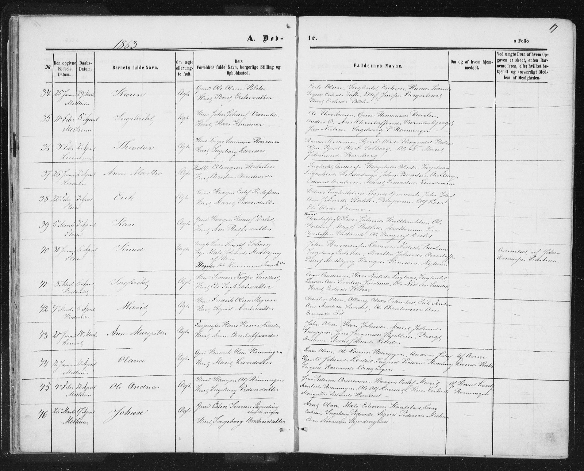 Ministerialprotokoller, klokkerbøker og fødselsregistre - Sør-Trøndelag, AV/SAT-A-1456/691/L1077: Parish register (official) no. 691A09, 1862-1873, p. 17