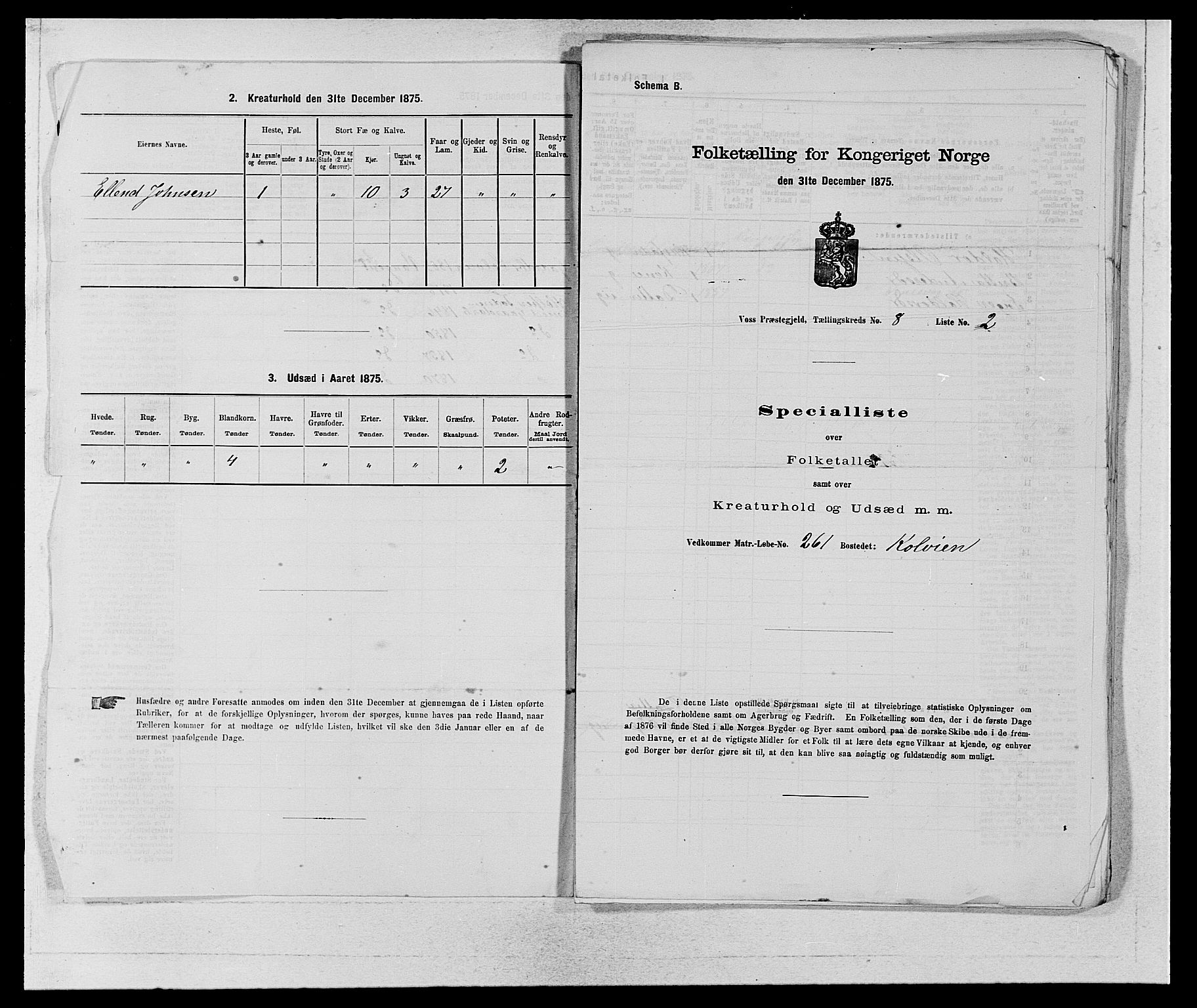 SAB, 1875 census for 1235P Voss, 1875, p. 908