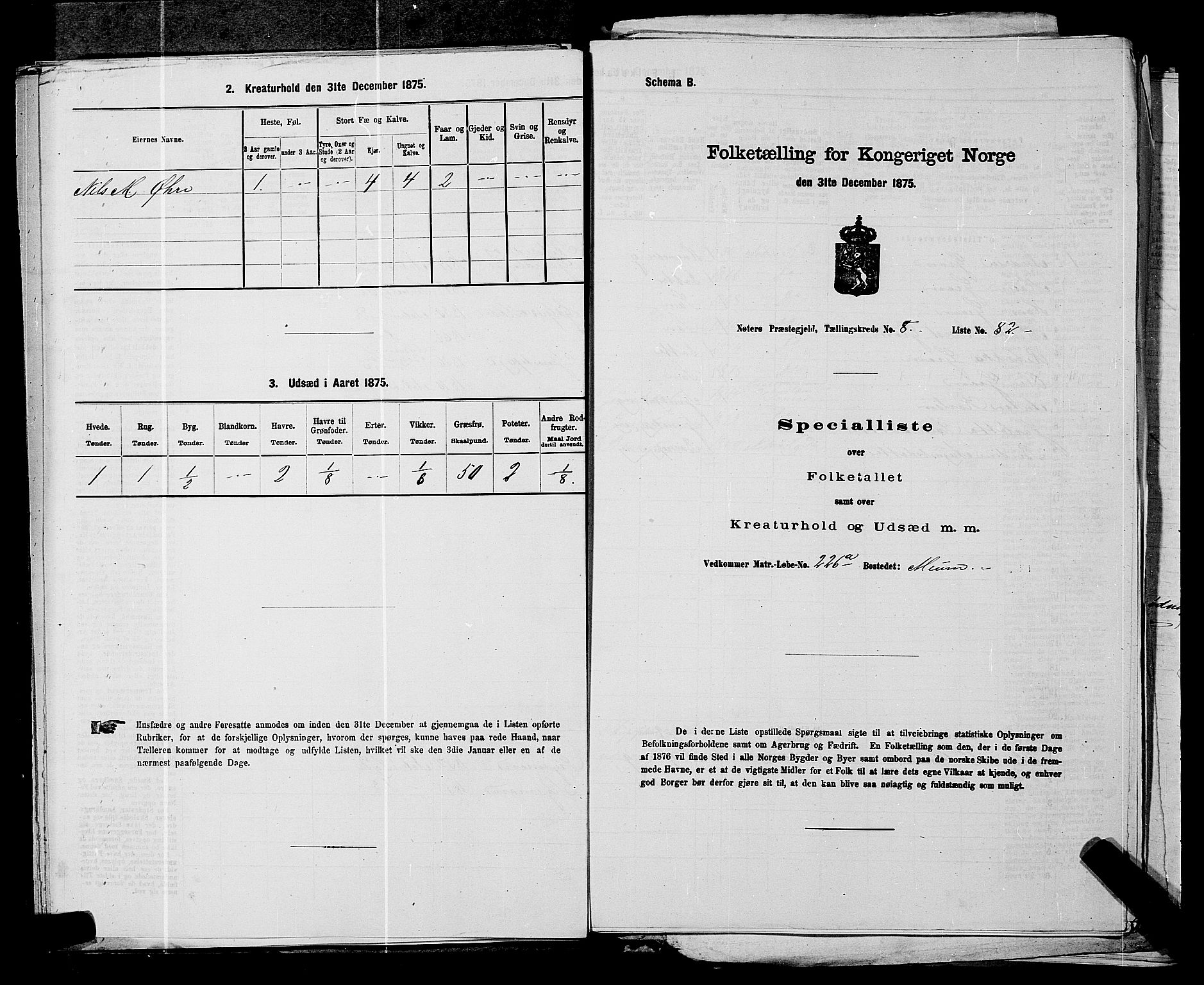 SAKO, 1875 census for 0722P Nøtterøy, 1875, p. 1707