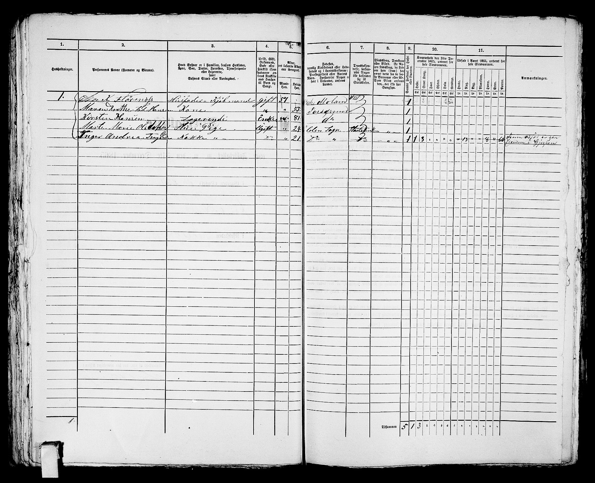 RA, 1865 census for Porsgrunn, 1865, p. 499