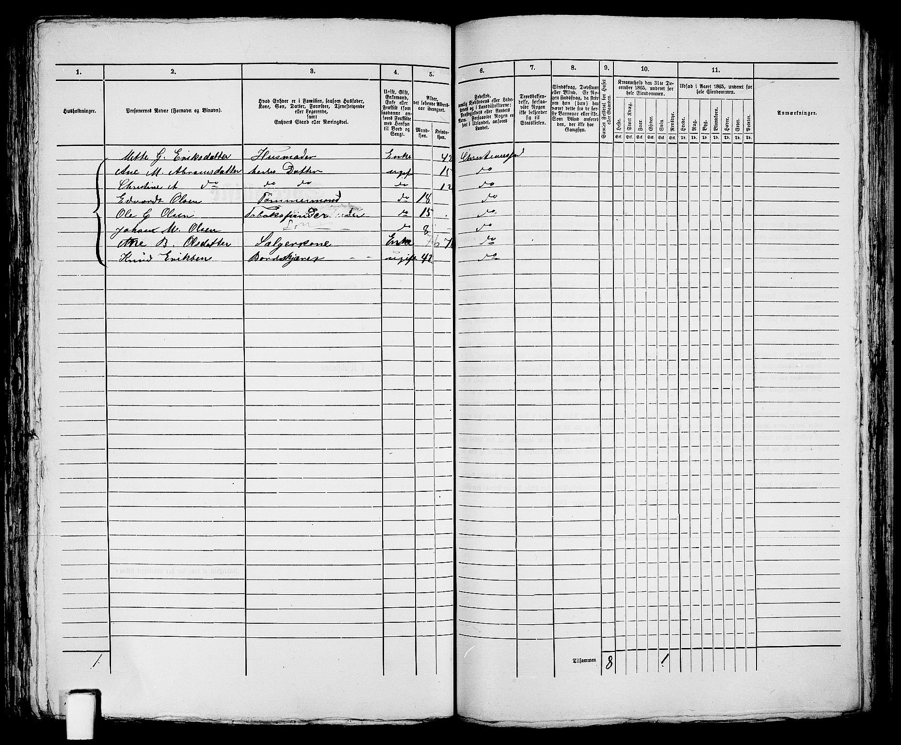 RA, 1865 census for Kristiansand, 1865, p. 1353