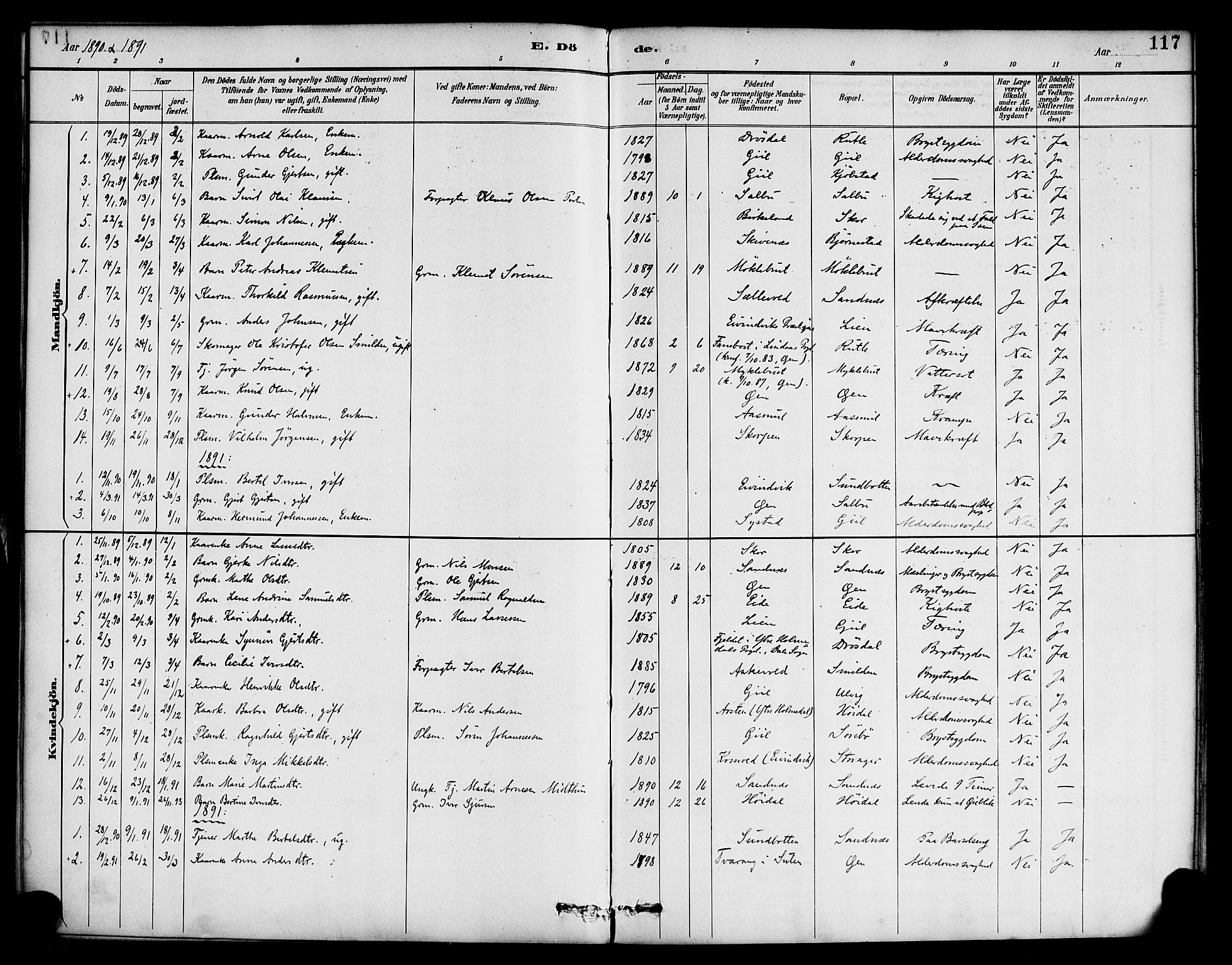 Hyllestad sokneprestembete, SAB/A-80401: Parish register (official) no. D 1, 1886-1905, p. 117
