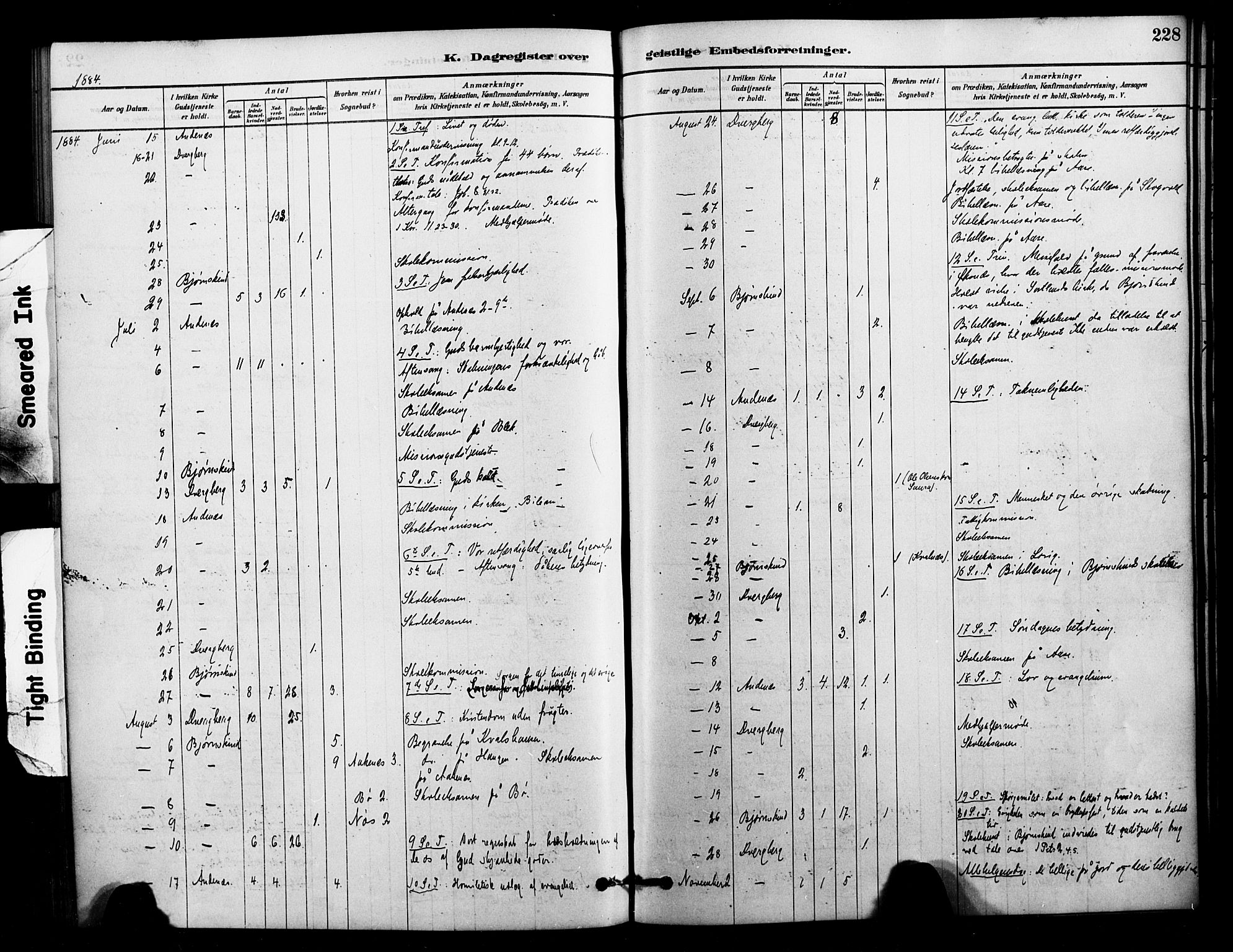 Ministerialprotokoller, klokkerbøker og fødselsregistre - Nordland, AV/SAT-A-1459/897/L1399: Parish register (official) no. 897C06, 1881-1896, p. 228