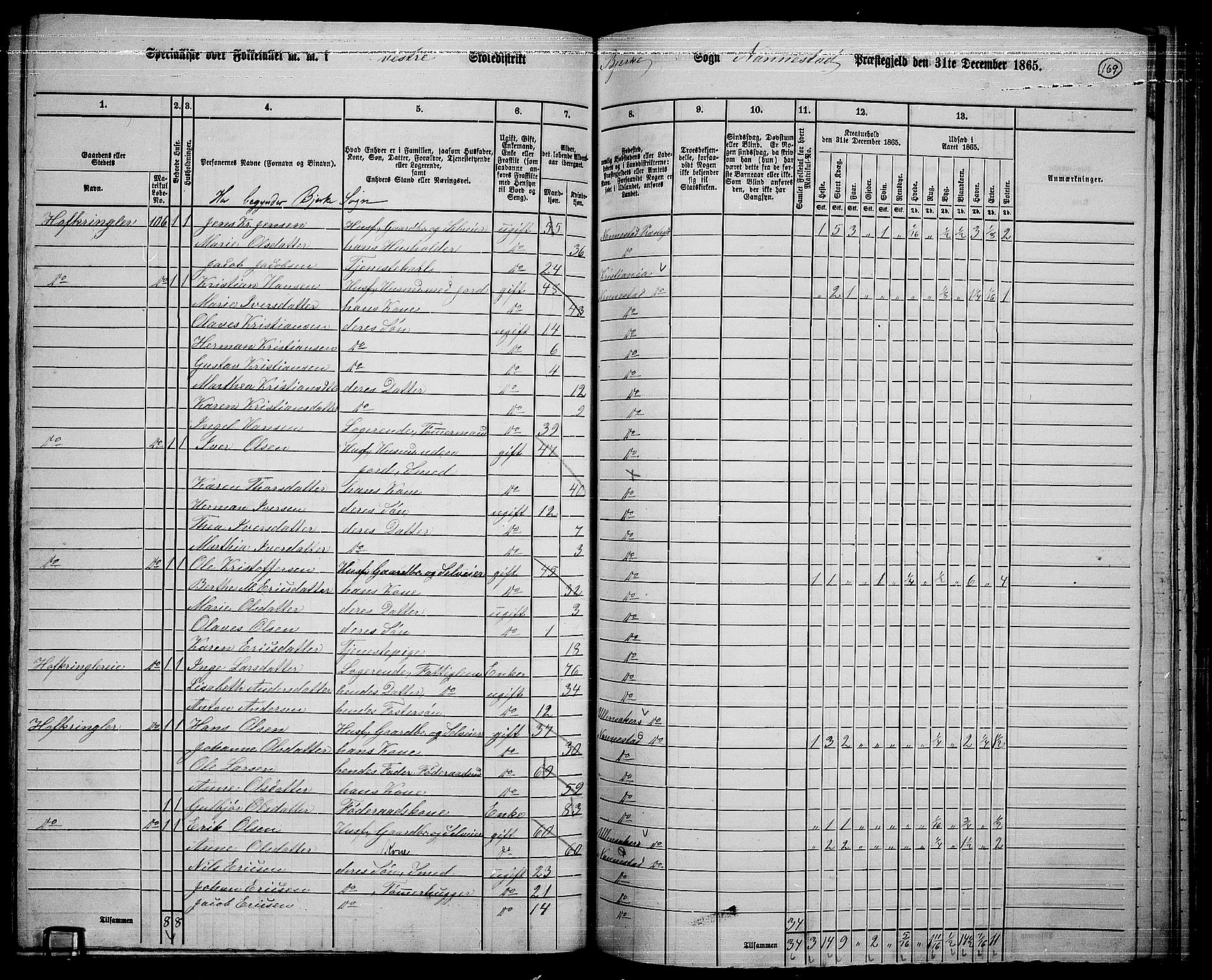 RA, 1865 census for Nannestad, 1865, p. 52