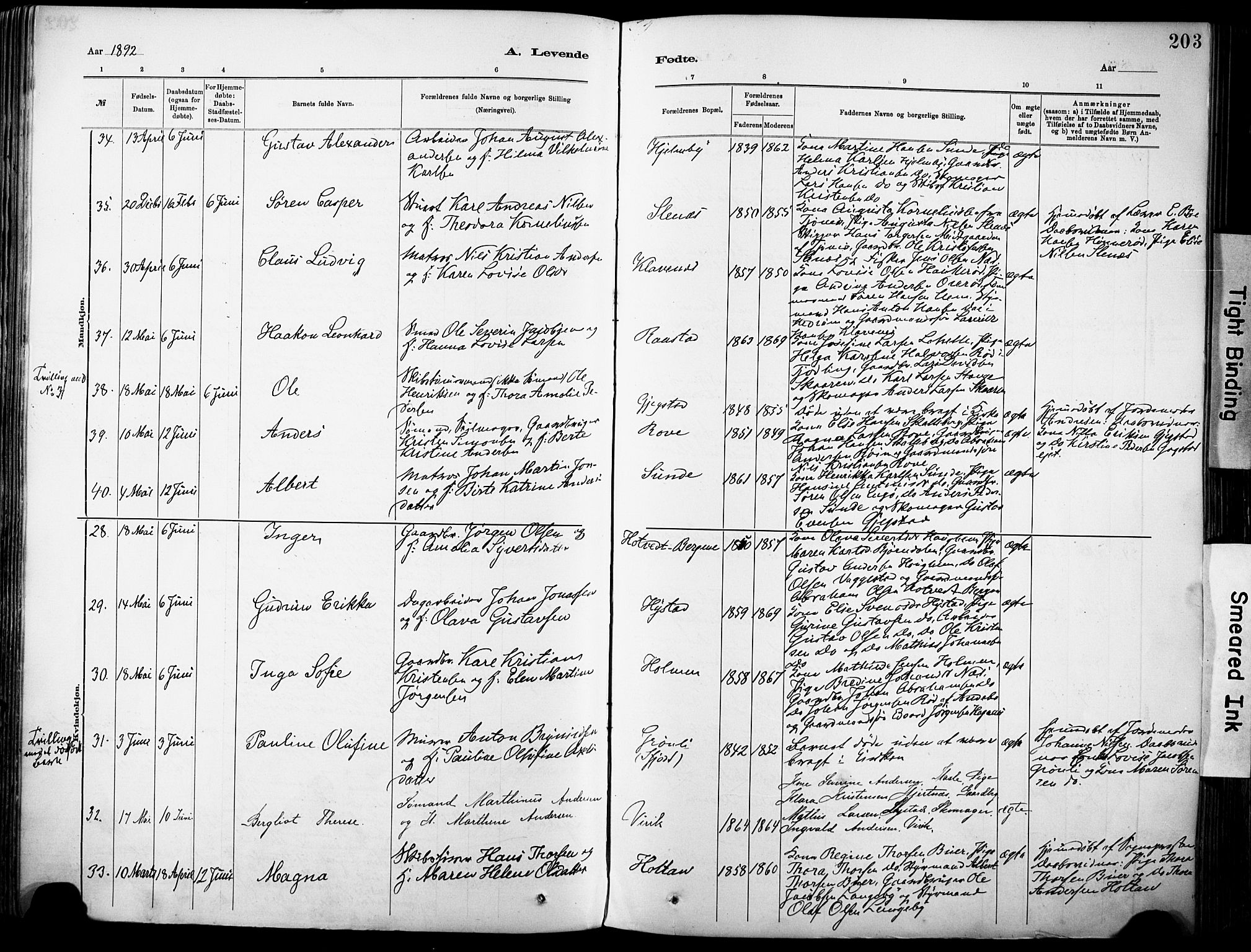 Sandar kirkebøker, AV/SAKO-A-243/F/Fa/L0012: Parish register (official) no. 12, 1883-1895, p. 203