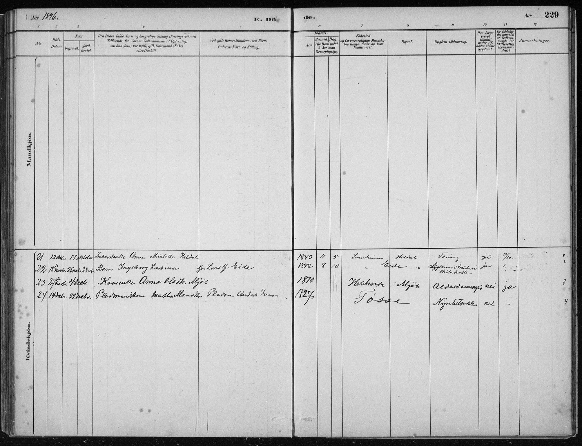 Hosanger sokneprestembete, AV/SAB-A-75801/H/Haa: Parish register (official) no. B  1, 1880-1896, p. 229