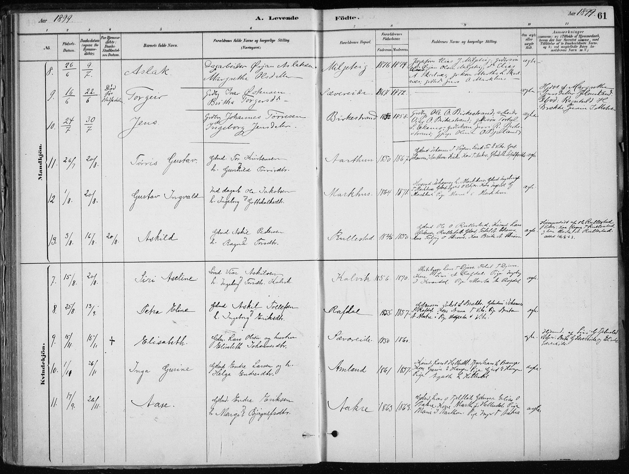 Skånevik sokneprestembete, AV/SAB-A-77801/H/Haa: Parish register (official) no. E  1, 1879-1901, p. 61