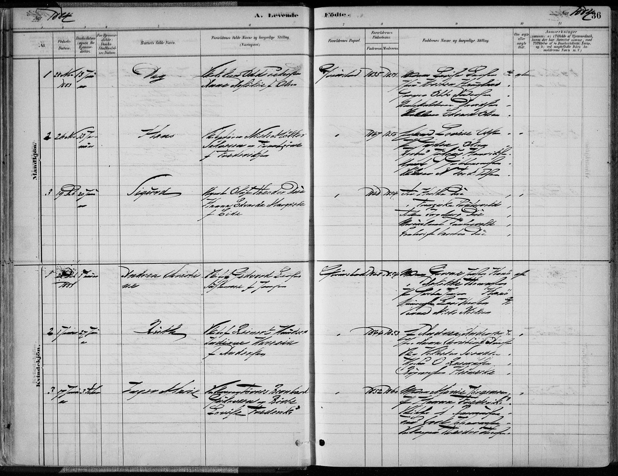 Grimstad sokneprestkontor, AV/SAK-1111-0017/F/Fa/L0003: Parish register (official) no. A 2, 1882-1912, p. 36