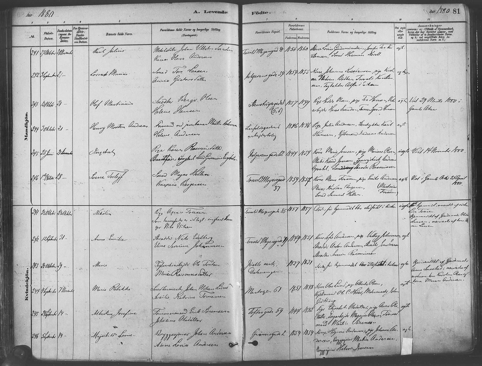 Paulus prestekontor Kirkebøker, AV/SAO-A-10871/F/Fa/L0003: Parish register (official) no. 3, 1879-1887, p. 81