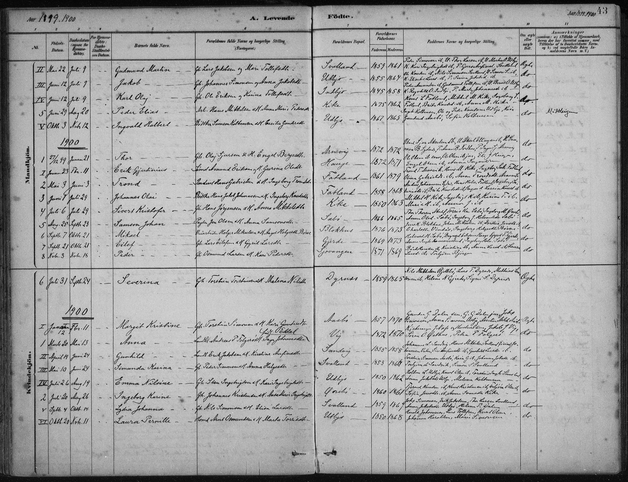Fjelberg sokneprestembete, SAB/A-75201/H/Haa: Parish register (official) no. B  1, 1879-1919, p. 43