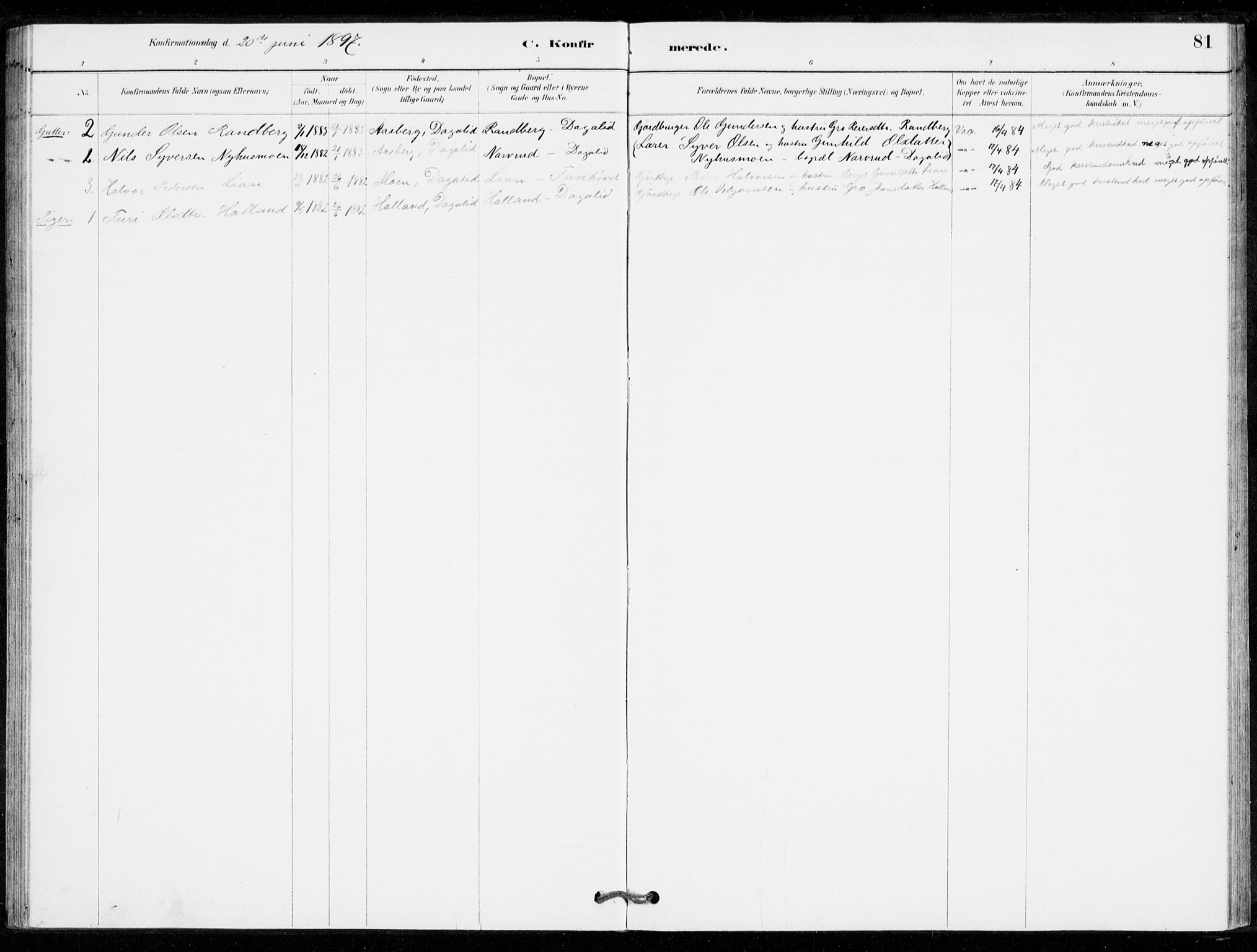 Nore kirkebøker, SAKO/A-238/G/Gc/L0003: Parish register (copy) no. III 3, 1881-1941, p. 81