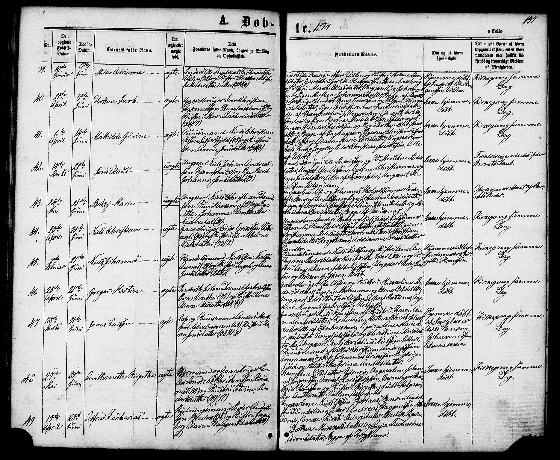 Ministerialprotokoller, klokkerbøker og fødselsregistre - Nordland, AV/SAT-A-1459/827/L0393: Parish register (official) no. 827A05, 1863-1883, p. 137