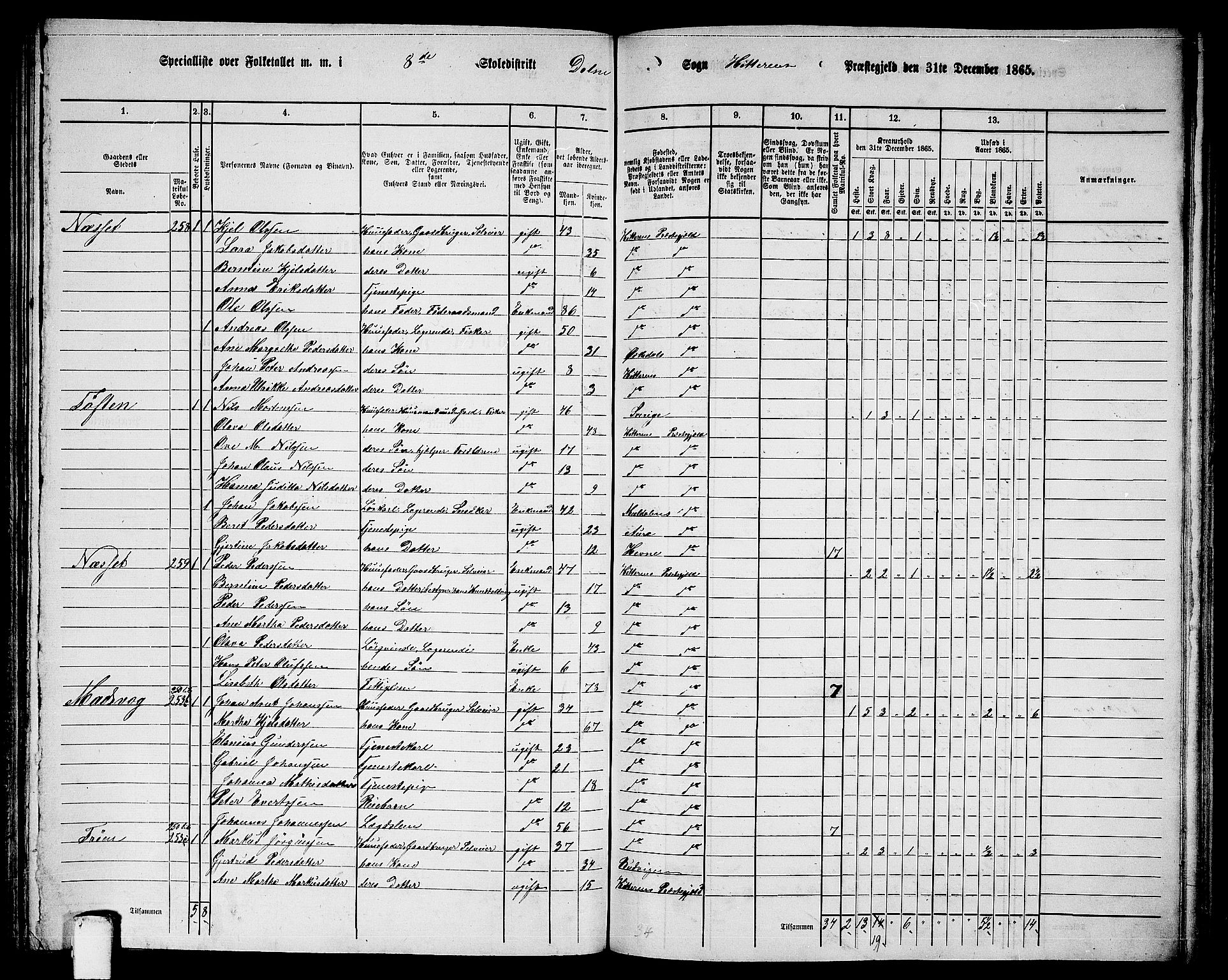RA, 1865 census for Hitra, 1865, p. 208