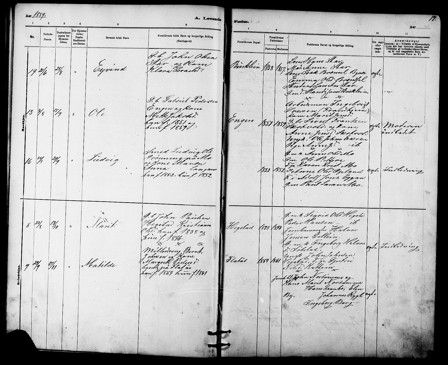 Ministerialprotokoller, klokkerbøker og fødselsregistre - Sør-Trøndelag, AV/SAT-A-1456/613/L0395: Parish register (copy) no. 613C03, 1887-1909, p. 17