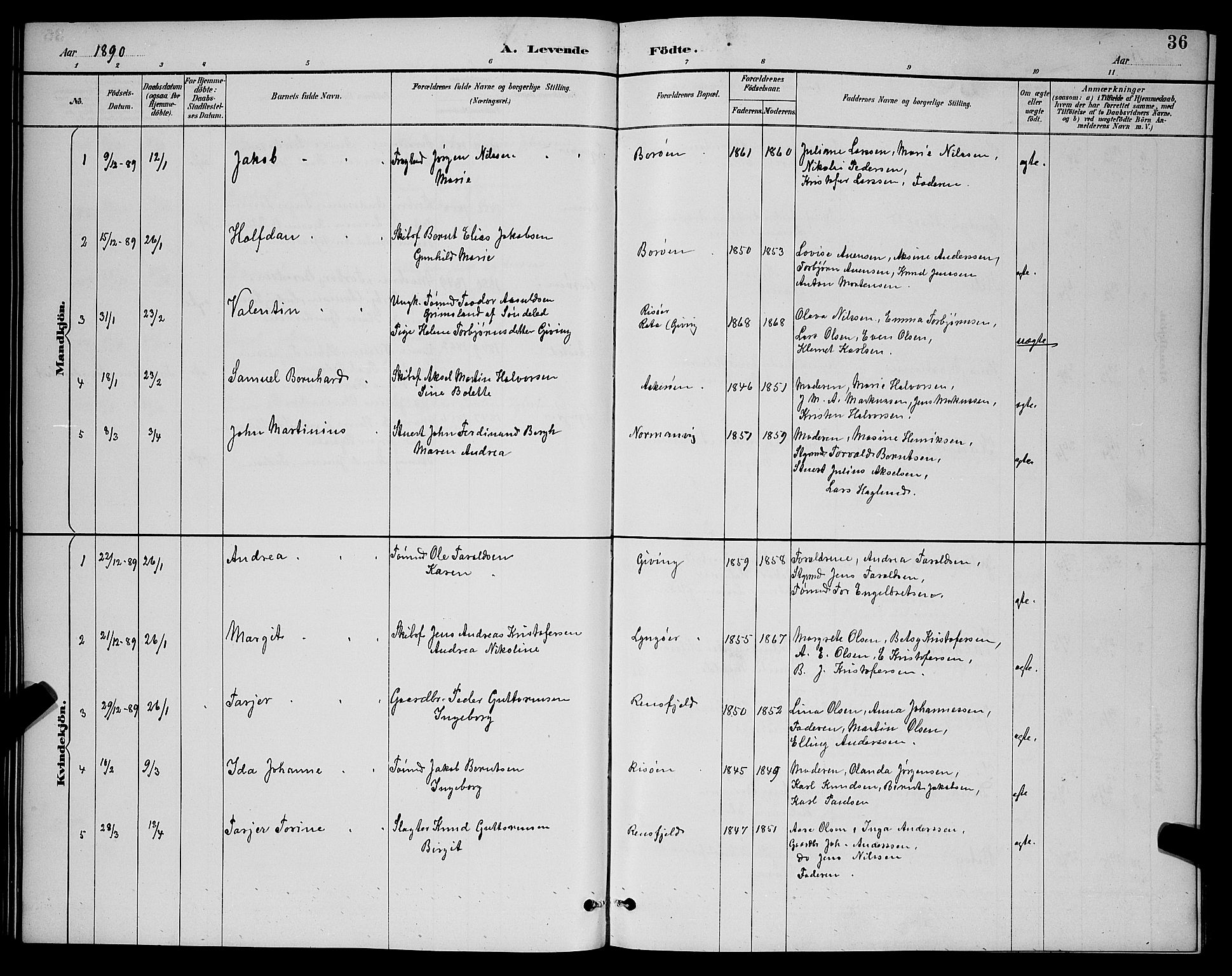 Dypvåg sokneprestkontor, AV/SAK-1111-0007/F/Fb/Fba/L0013: Parish register (copy) no. B 13, 1887-1900, p. 36