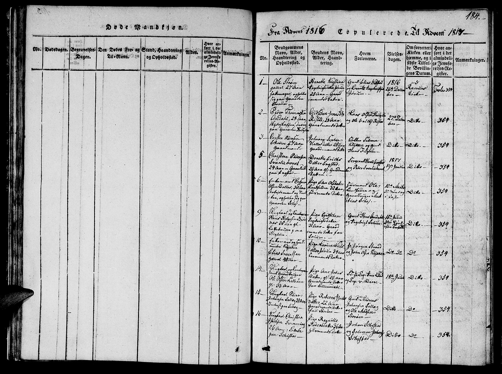 Ministerialprotokoller, klokkerbøker og fødselsregistre - Nord-Trøndelag, AV/SAT-A-1458/764/L0559: Parish register (copy) no. 764C01, 1816-1824, p. 184