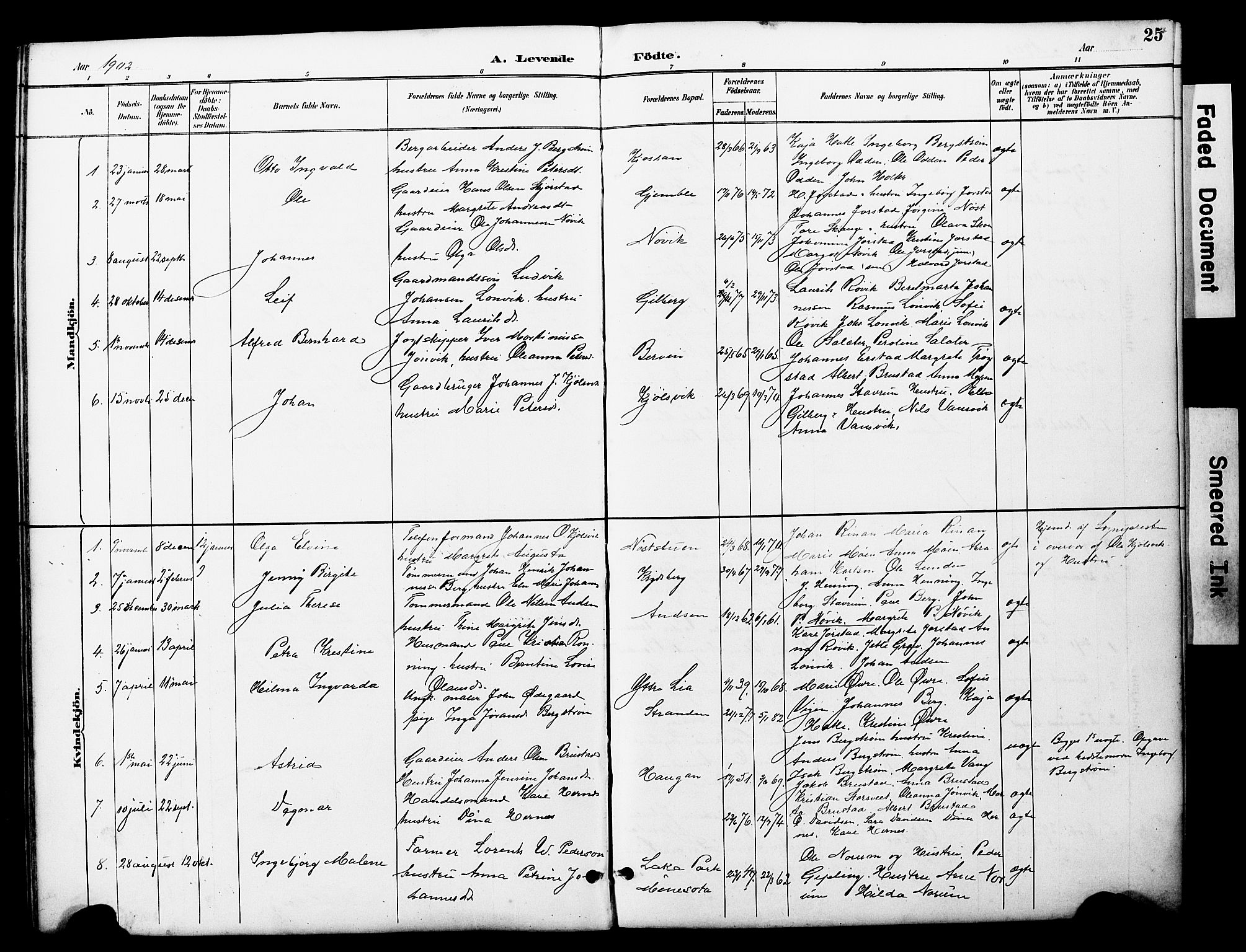 Ministerialprotokoller, klokkerbøker og fødselsregistre - Nord-Trøndelag, SAT/A-1458/722/L0226: Parish register (copy) no. 722C02, 1889-1927, p. 25