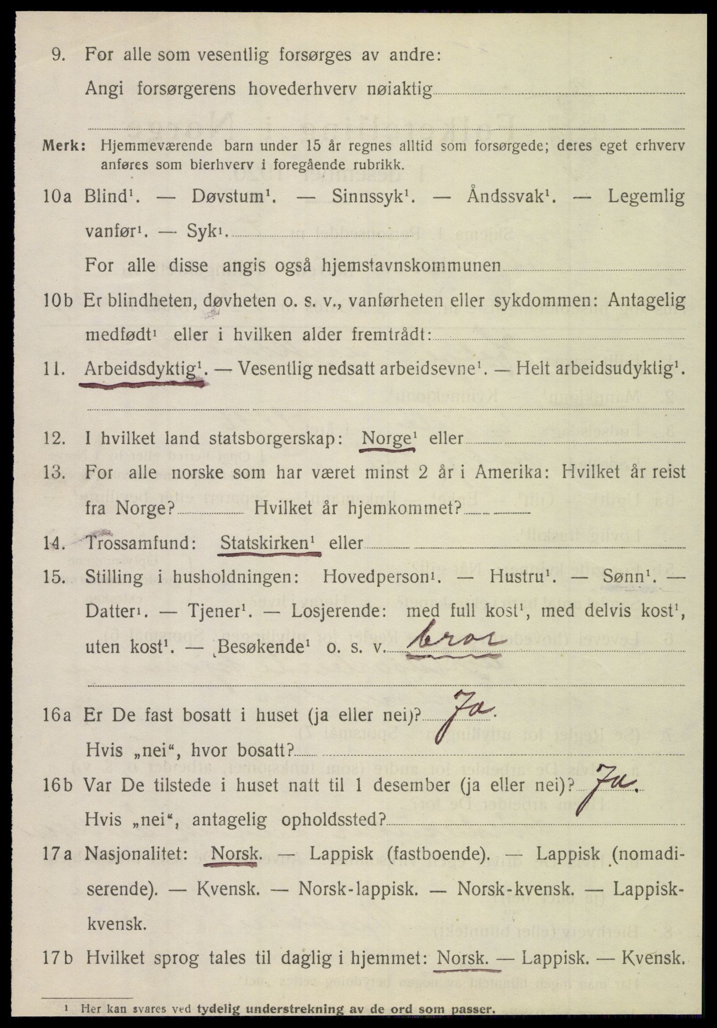 SAT, 1920 census for Hattfjelldal, 1920, p. 553