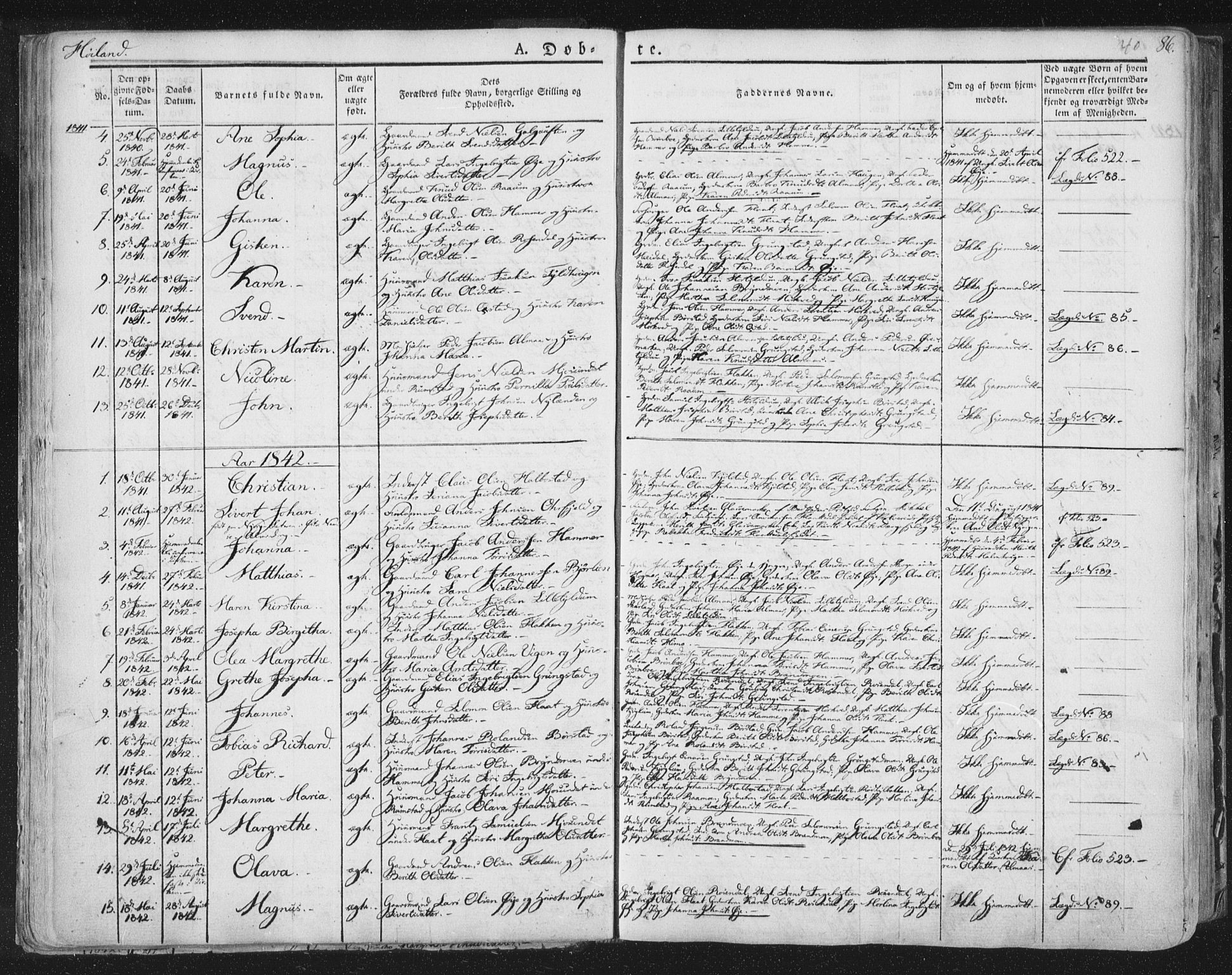 Ministerialprotokoller, klokkerbøker og fødselsregistre - Nord-Trøndelag, SAT/A-1458/758/L0513: Parish register (official) no. 758A02 /2, 1839-1868, p. 40
