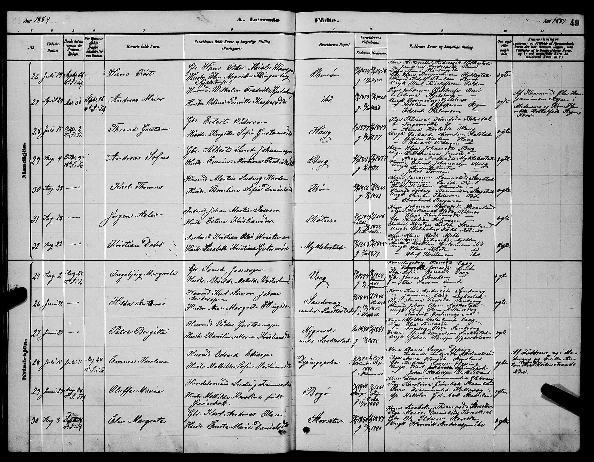 Ministerialprotokoller, klokkerbøker og fødselsregistre - Nordland, AV/SAT-A-1459/855/L0816: Parish register (copy) no. 855C05, 1879-1894, p. 49