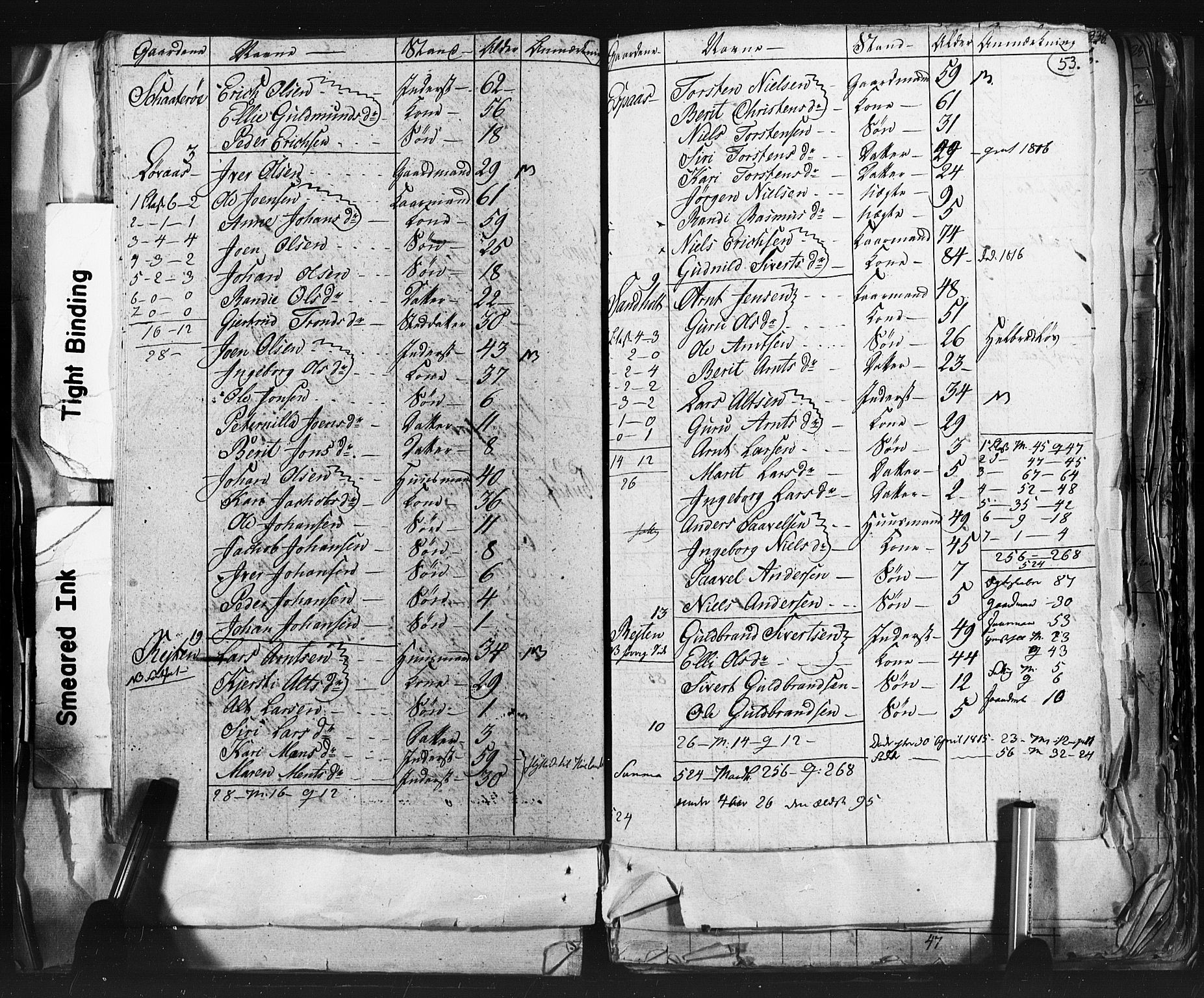 SAT, 1815 Census for Støren parish, 1815, p. 53