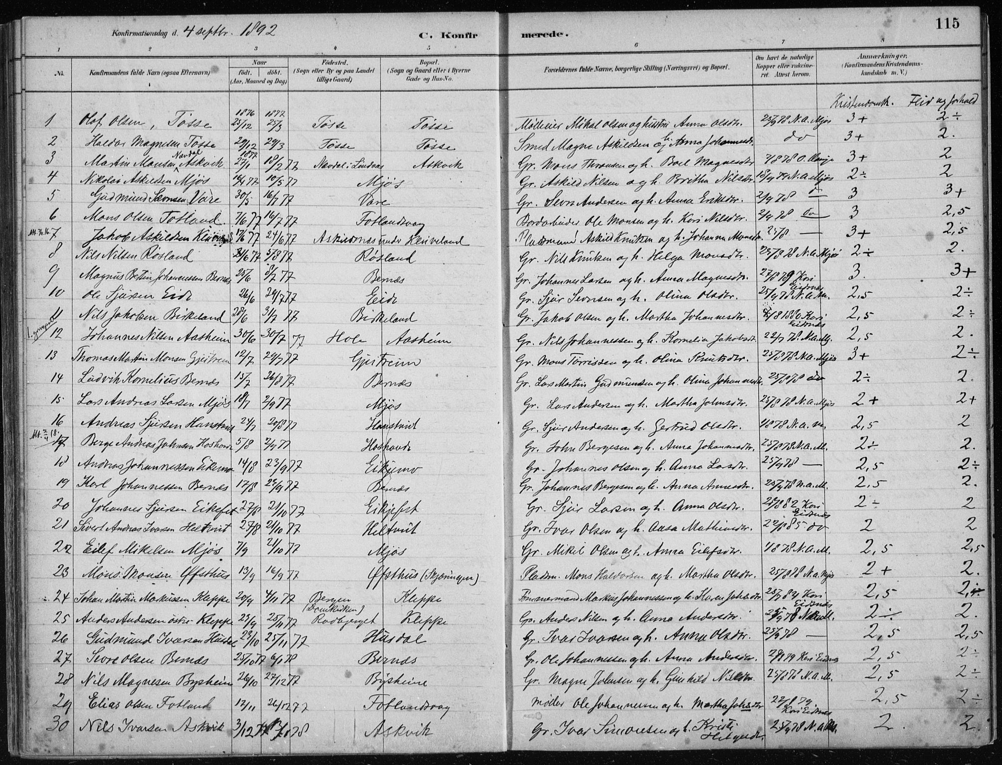 Hosanger sokneprestembete, AV/SAB-A-75801/H/Haa: Parish register (official) no. B  1, 1880-1896, p. 115