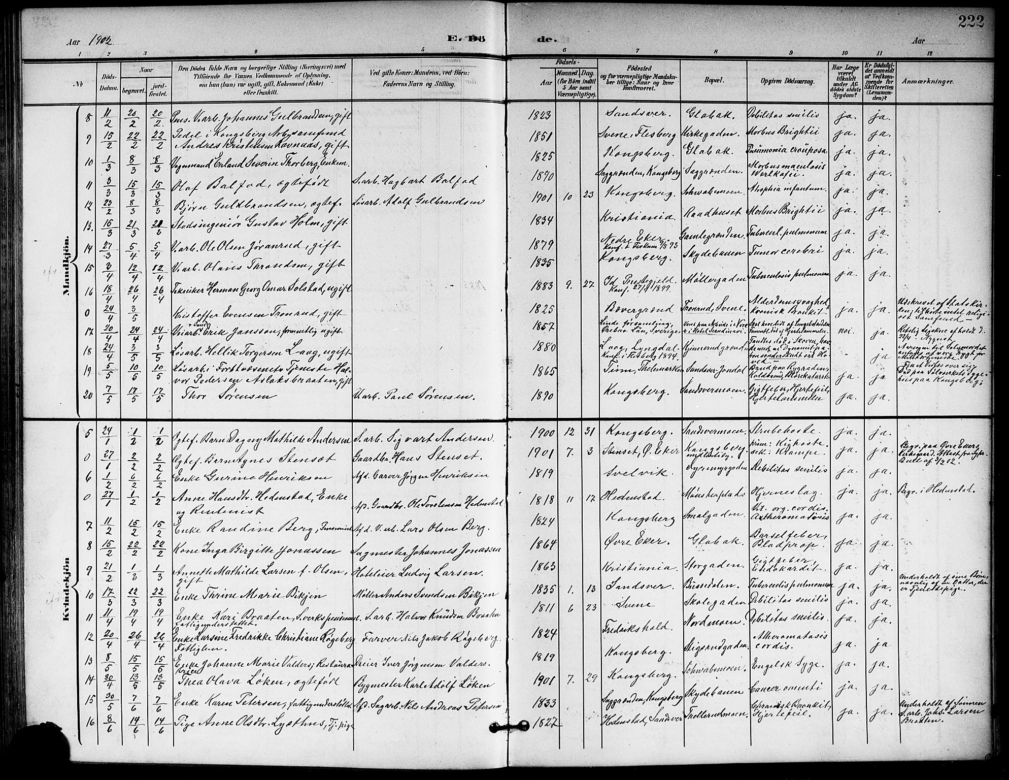 Kongsberg kirkebøker, AV/SAKO-A-22/G/Ga/L0007: Parish register (copy) no. 7, 1901-1915, p. 222