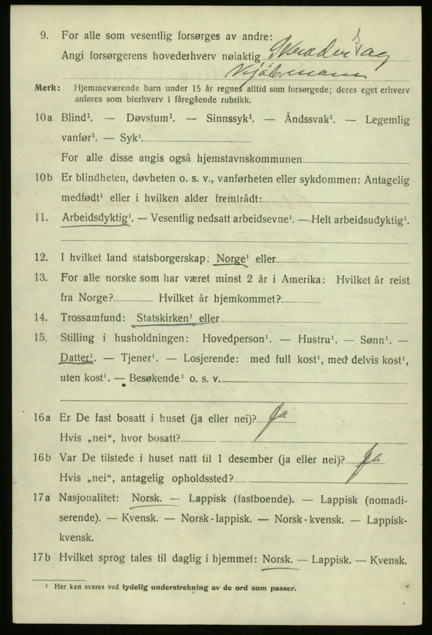 SATØ, 1920 census for Harstad, 1920, p. 4311