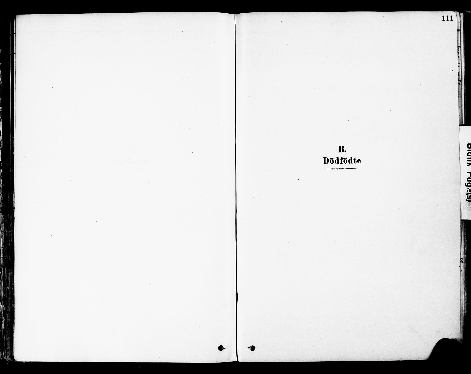 Øyer prestekontor, AV/SAH-PREST-084/H/Ha/Haa/L0008: Parish register (official) no. 8, 1878-1897, p. 111