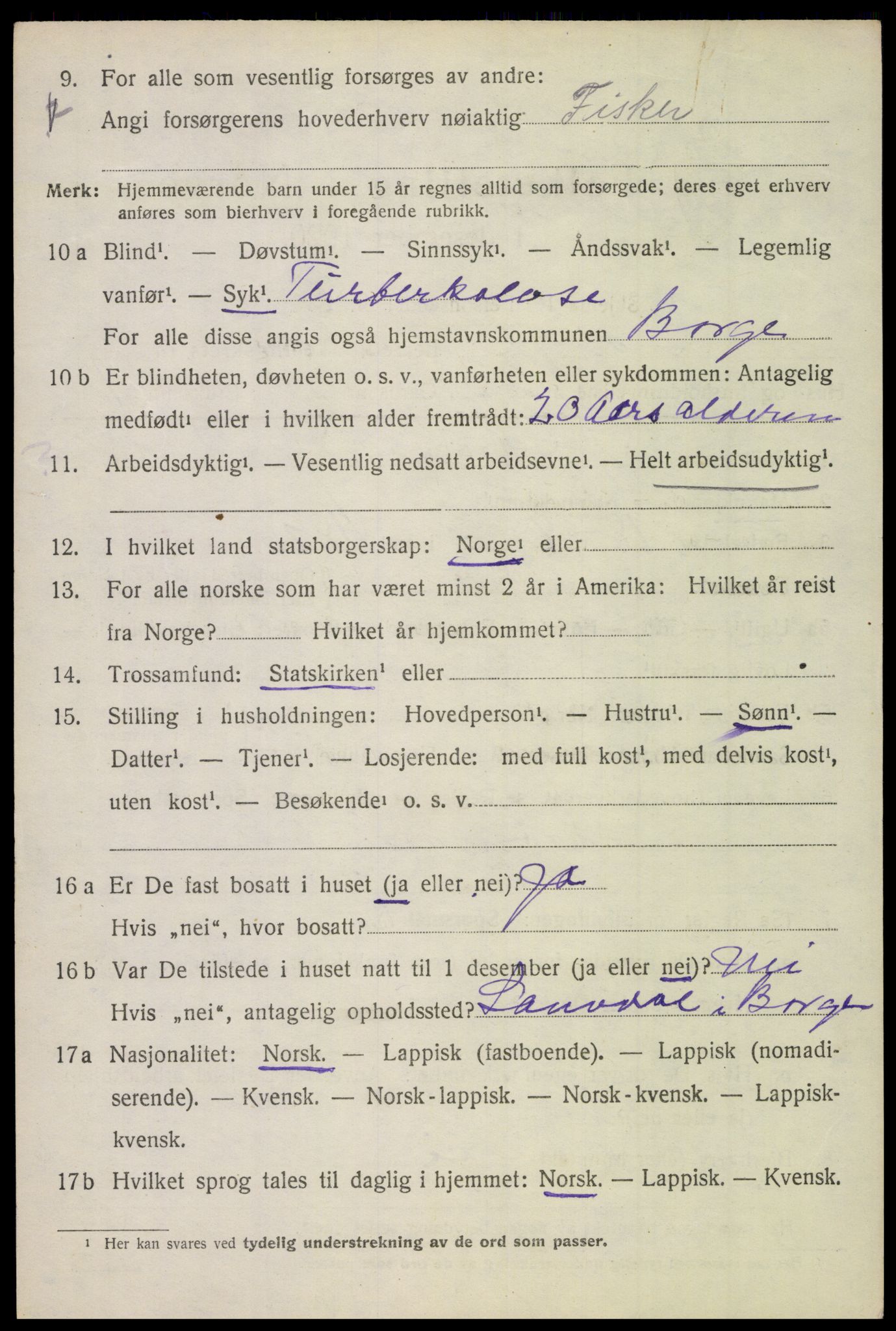 SAT, 1920 census for Borge, 1920, p. 5064