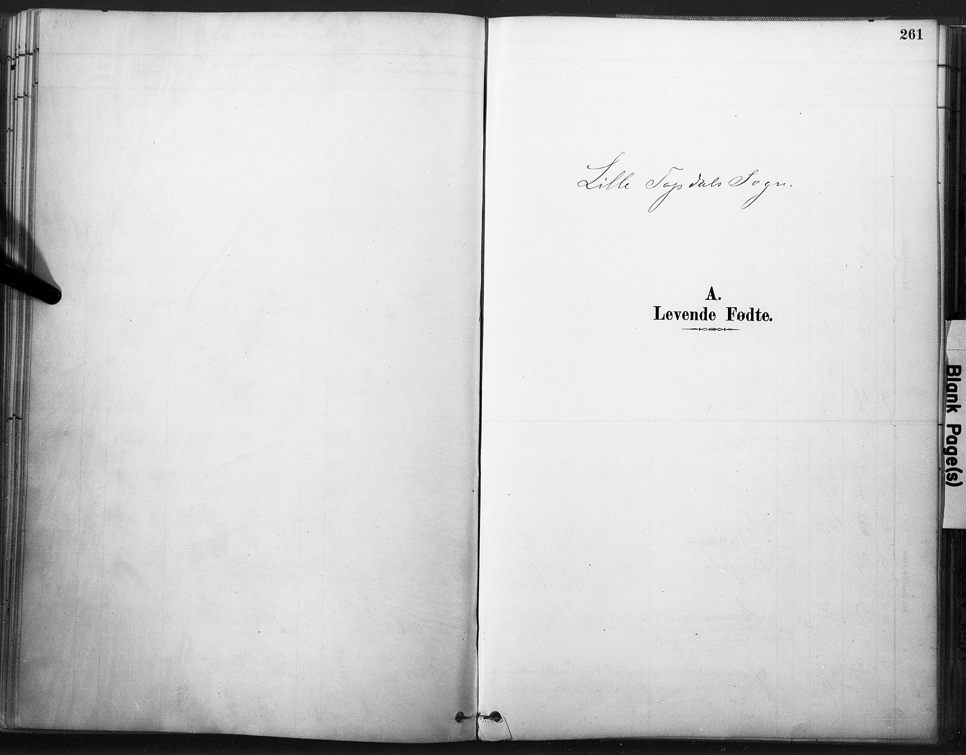 Åmli sokneprestkontor, SAK/1111-0050/F/Fa/Fac/L0010: Parish register (official) no. A 10 /3, 1885-1899, p. 261