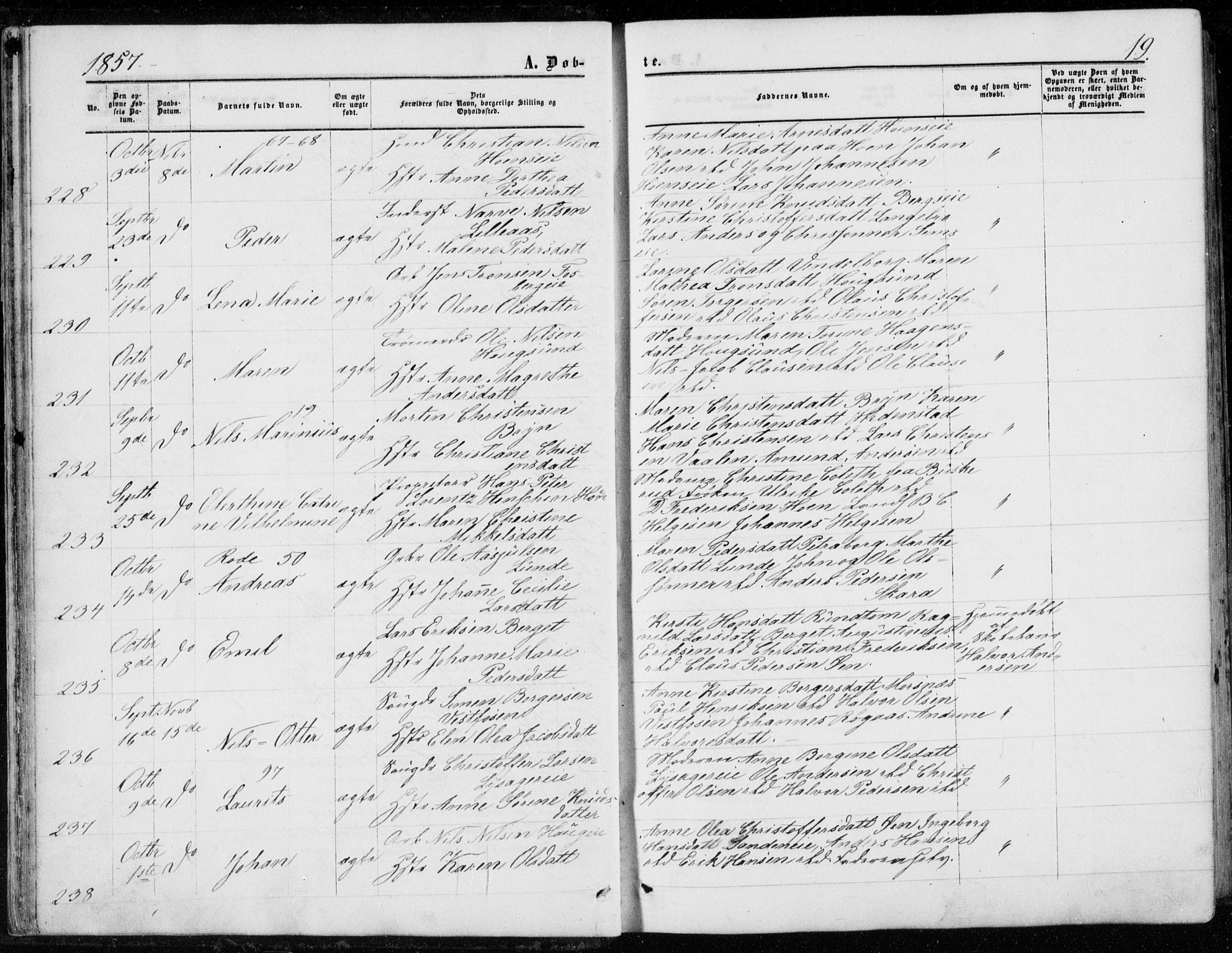 Eiker kirkebøker, AV/SAKO-A-4/G/Ga/L0003: Parish register (copy) no. I 3, 1856-1871, p. 19