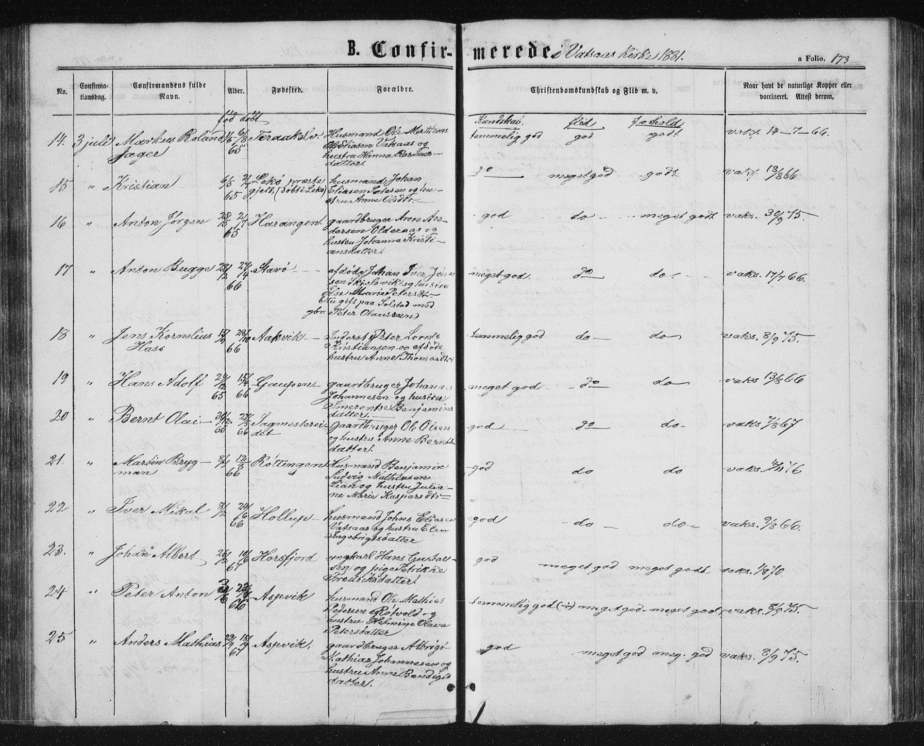 Ministerialprotokoller, klokkerbøker og fødselsregistre - Nordland, AV/SAT-A-1459/810/L0158: Parish register (copy) no. 810C02 /1, 1863-1883, p. 173