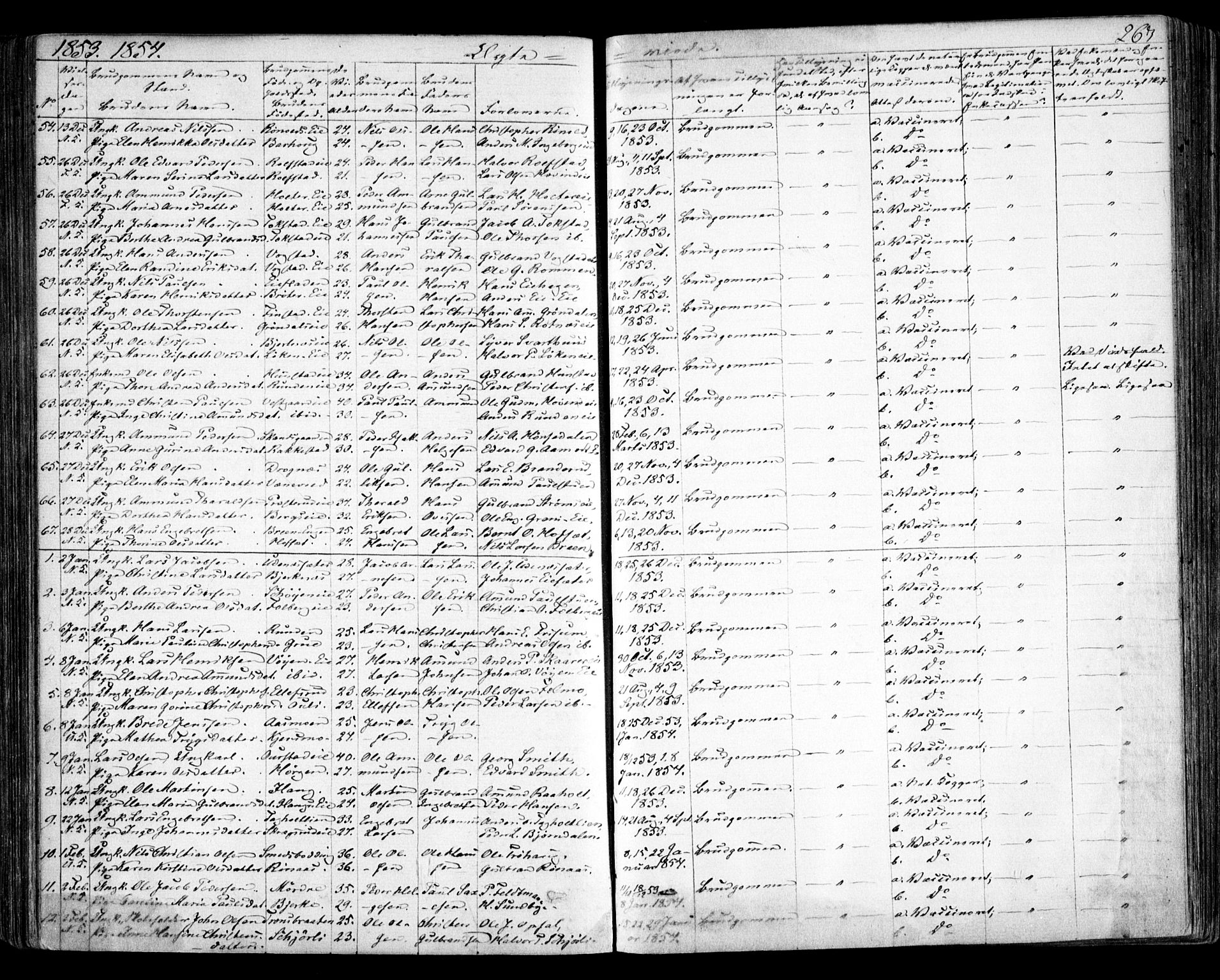 Nes prestekontor Kirkebøker, SAO/A-10410/F/Fa/L0007: Parish register (official) no. I 7, 1846-1858, p. 267