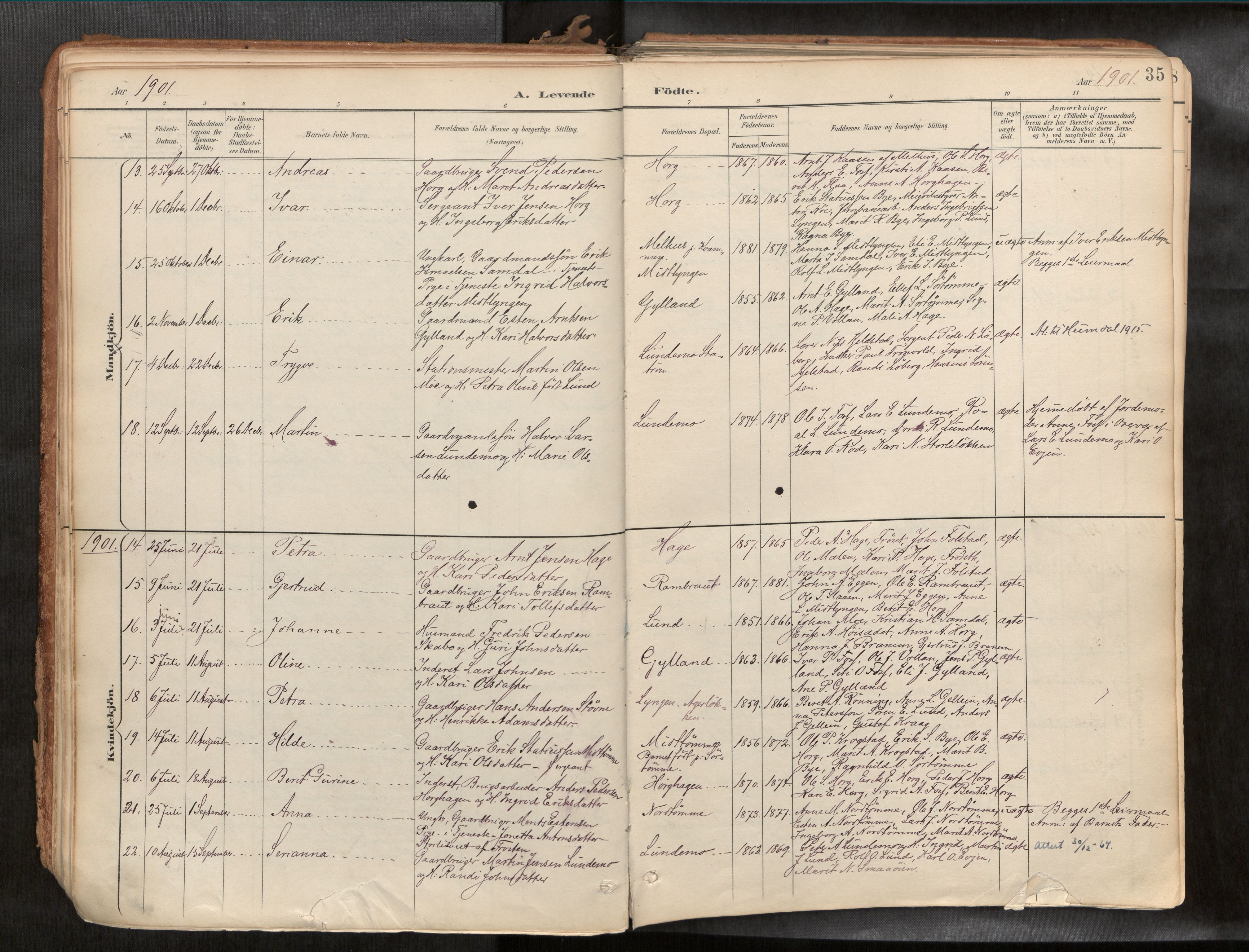 Ministerialprotokoller, klokkerbøker og fødselsregistre - Sør-Trøndelag, AV/SAT-A-1456/692/L1105b: Parish register (official) no. 692A06, 1891-1934, p. 35