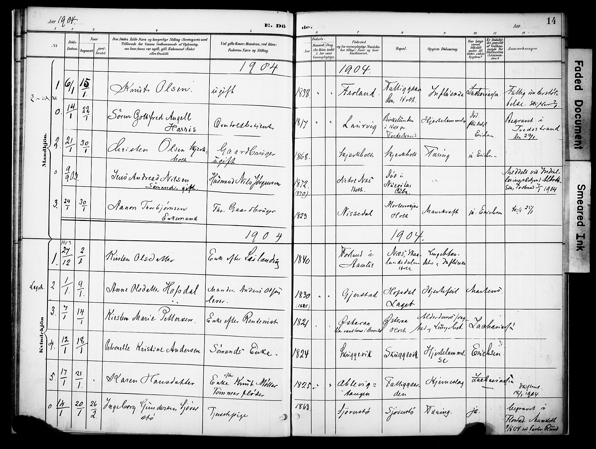 Holt sokneprestkontor, AV/SAK-1111-0021/F/Fa/L0013: Parish register (official) no. A 13, 1900-1912, p. 14