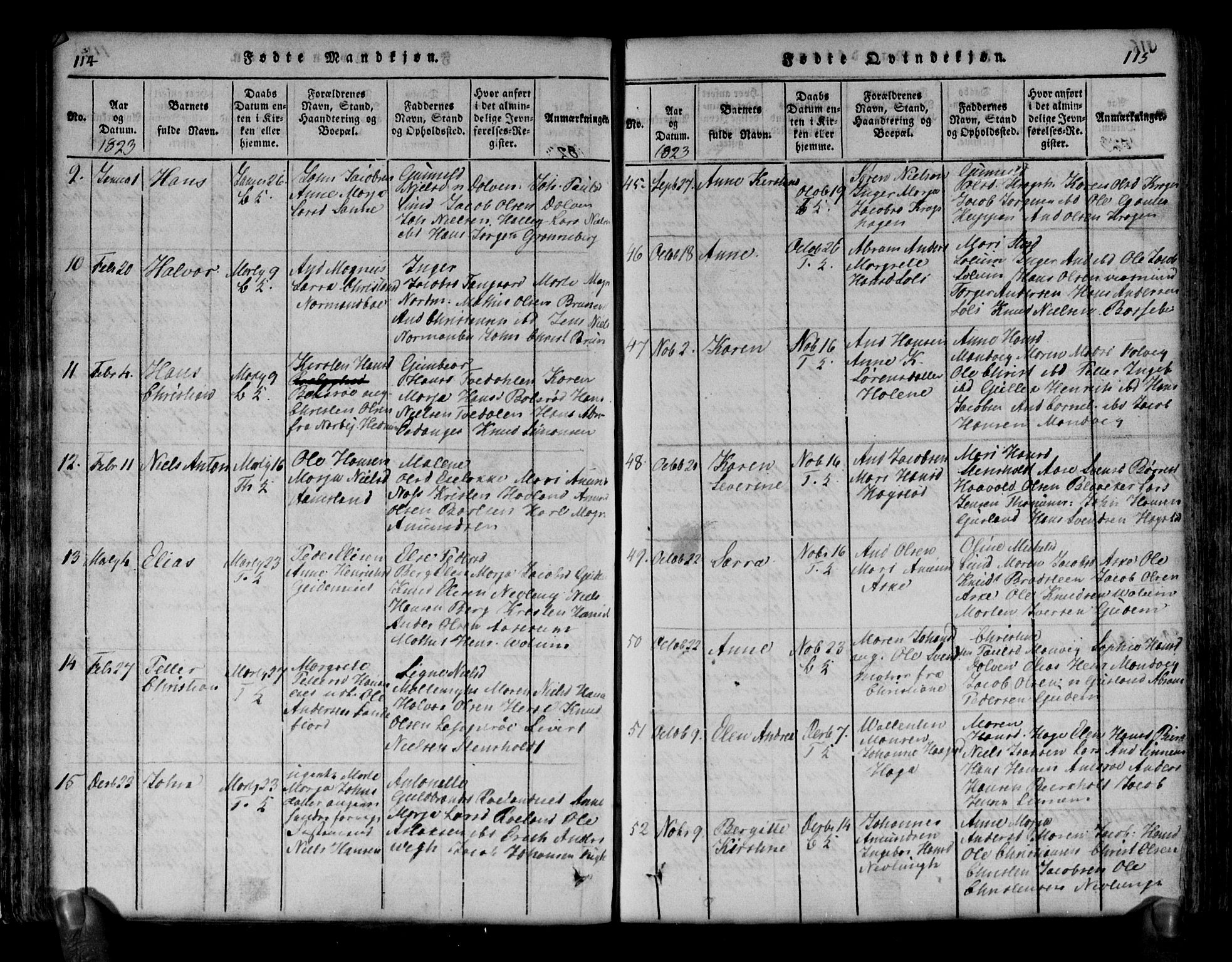 Brunlanes kirkebøker, SAKO/A-342/G/Ga/L0001: Parish register (copy) no. I 1, 1814-1834, p. 114-115