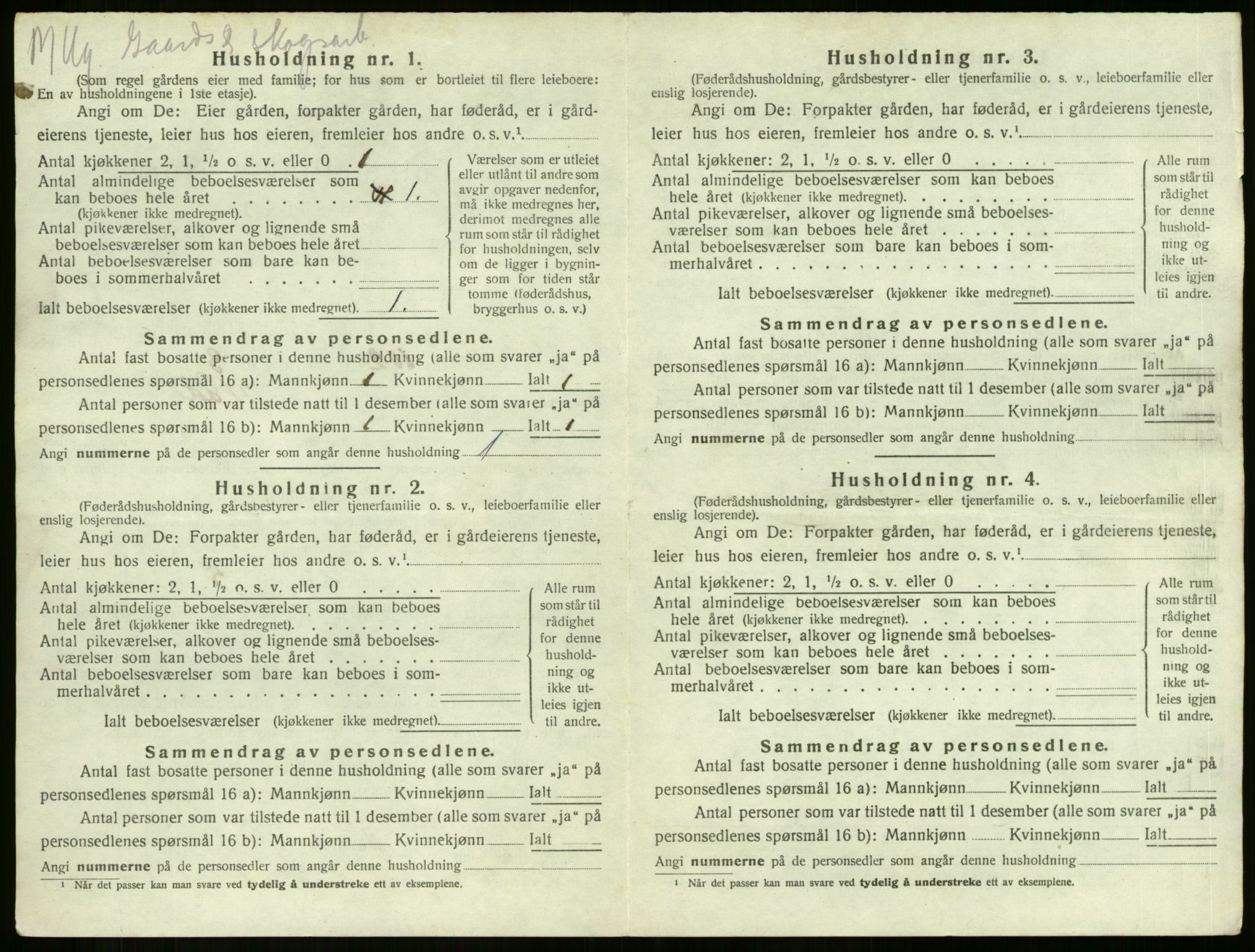 SAKO, 1920 census for Botne, 1920, p. 252