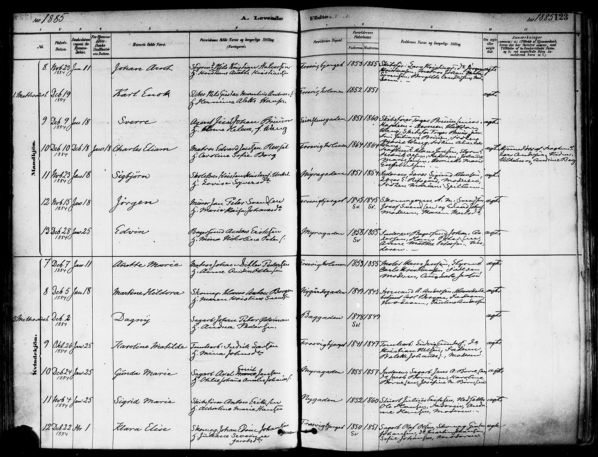 Fredrikstad domkirkes prestekontor Kirkebøker, AV/SAO-A-10906/F/Fa/L0002: Parish register (official) no. 2, 1878-1894, p. 123