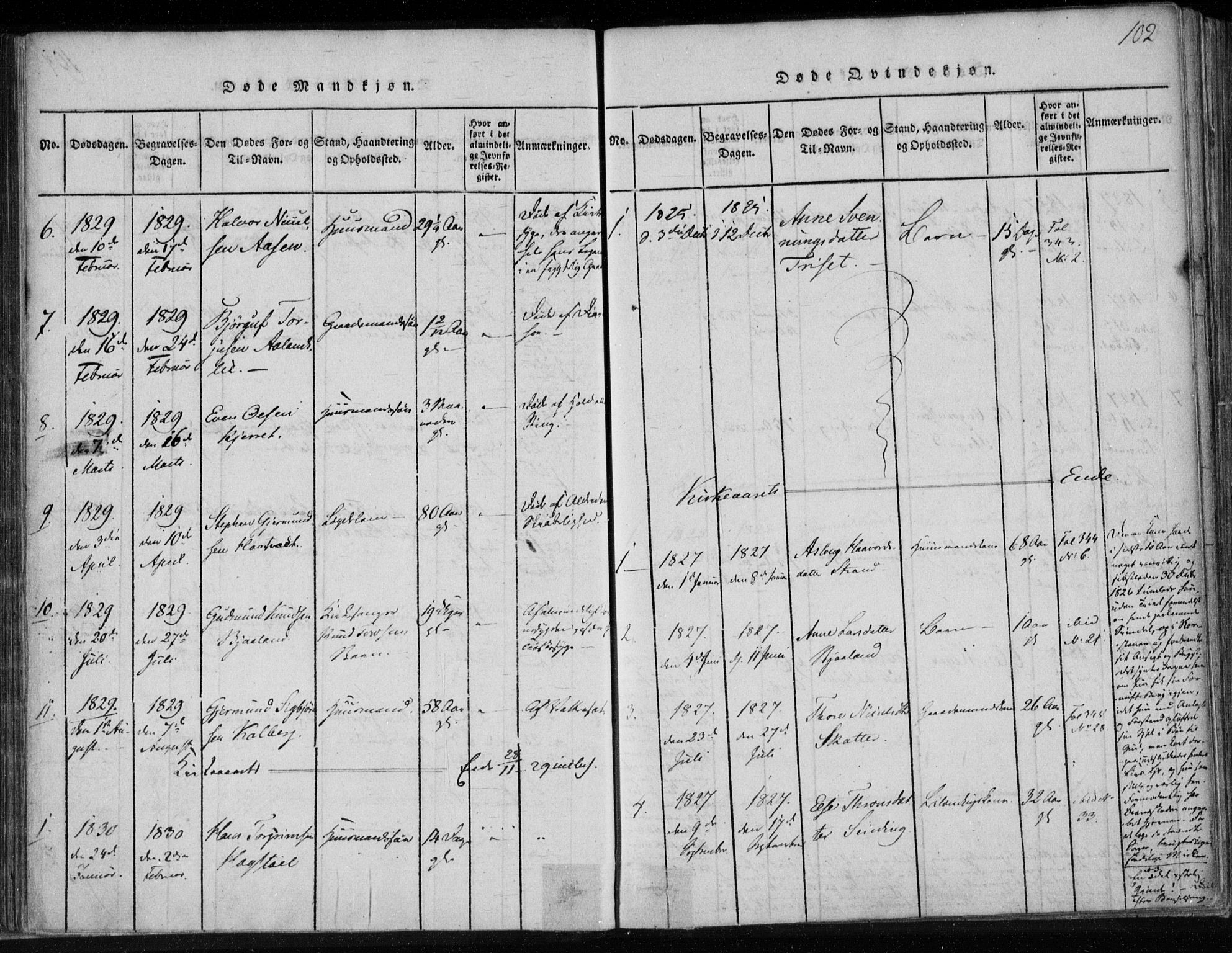 Lårdal kirkebøker, SAKO/A-284/F/Fa/L0005: Parish register (official) no. I 5, 1815-1860, p. 102