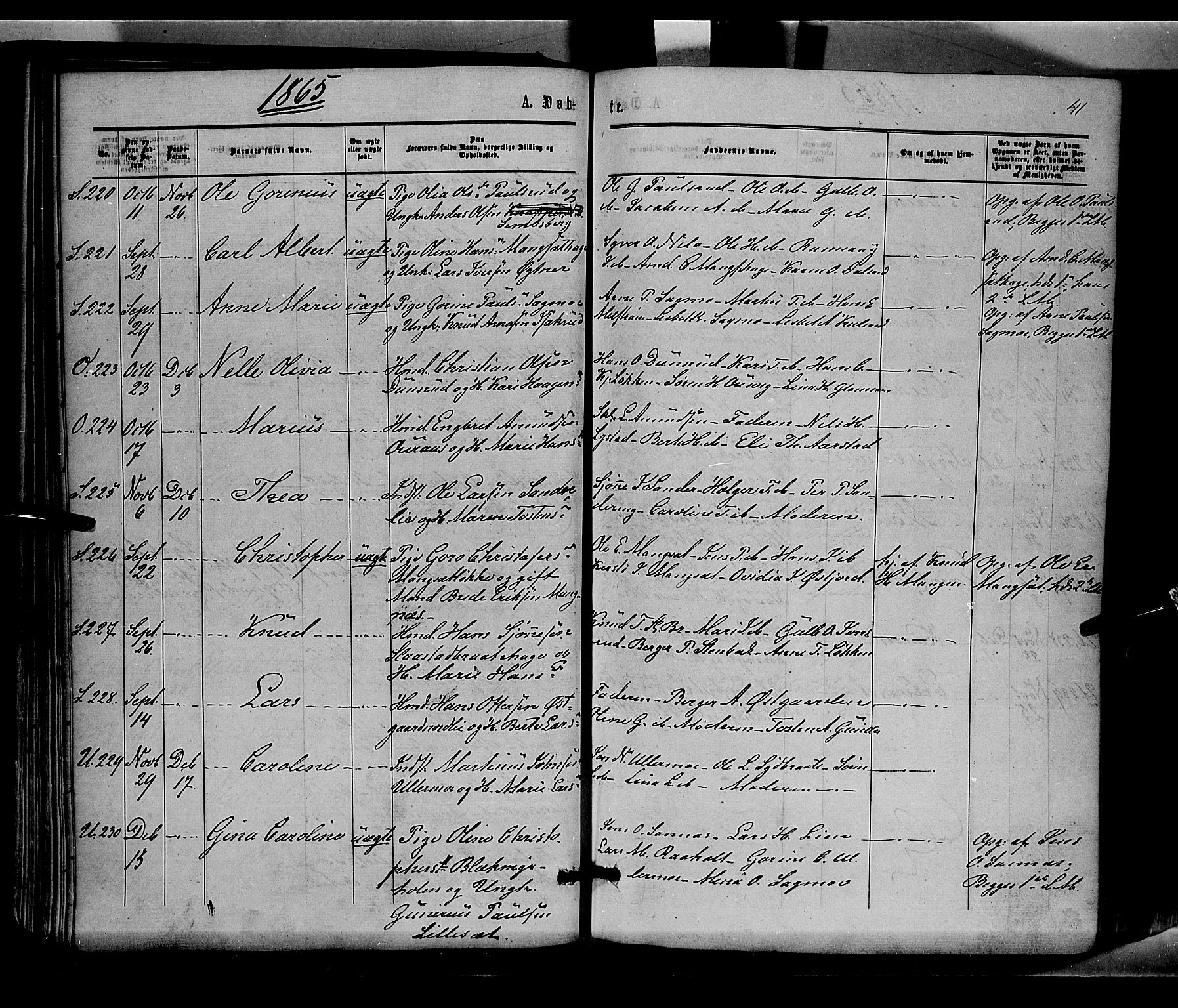 Sør-Odal prestekontor, AV/SAH-PREST-030/H/Ha/Haa/L0003: Parish register (official) no. 3, 1864-1870, p. 41