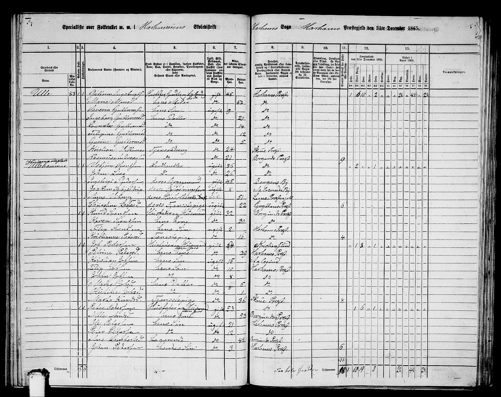 RA, 1865 census for Haram, 1865, p. 42