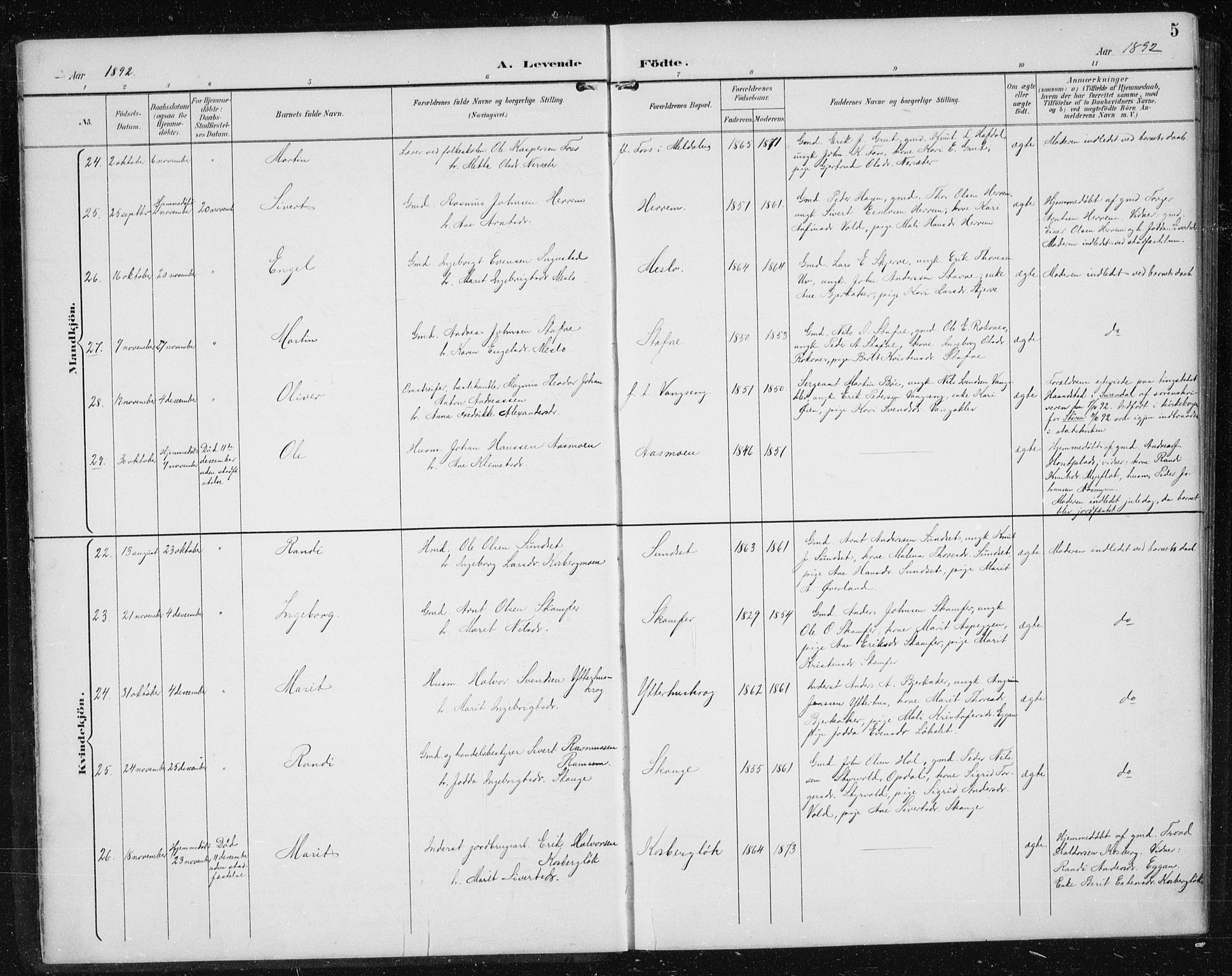 Ministerialprotokoller, klokkerbøker og fødselsregistre - Sør-Trøndelag, SAT/A-1456/674/L0876: Parish register (copy) no. 674C03, 1892-1912, p. 5
