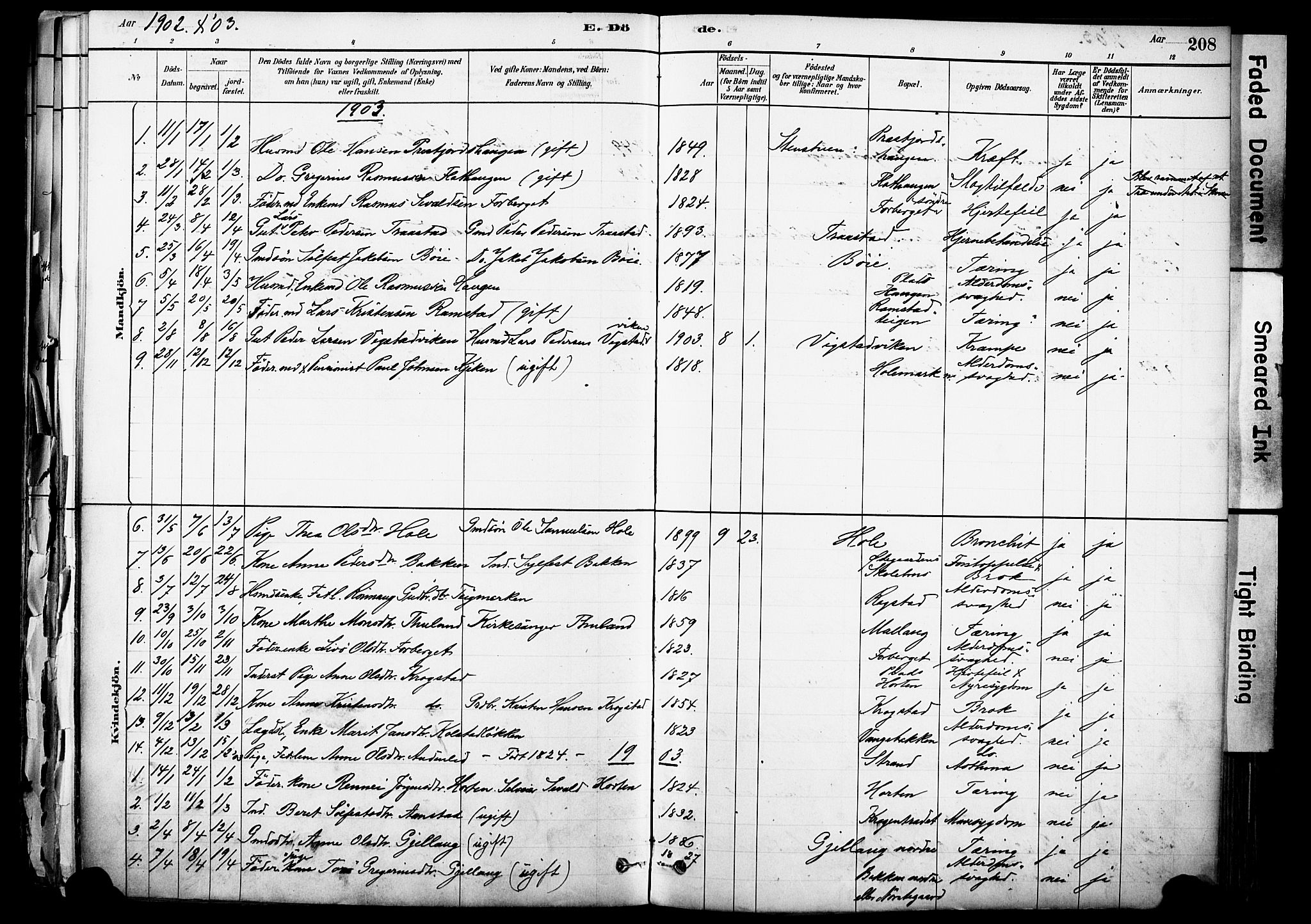 Skjåk prestekontor, AV/SAH-PREST-072/H/Ha/Haa/L0003: Parish register (official) no. 3, 1880-1907, p. 208